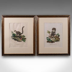 Coppia di ritratti di animali antichi, francese, quadri con cornice, arte naturale, georgiano