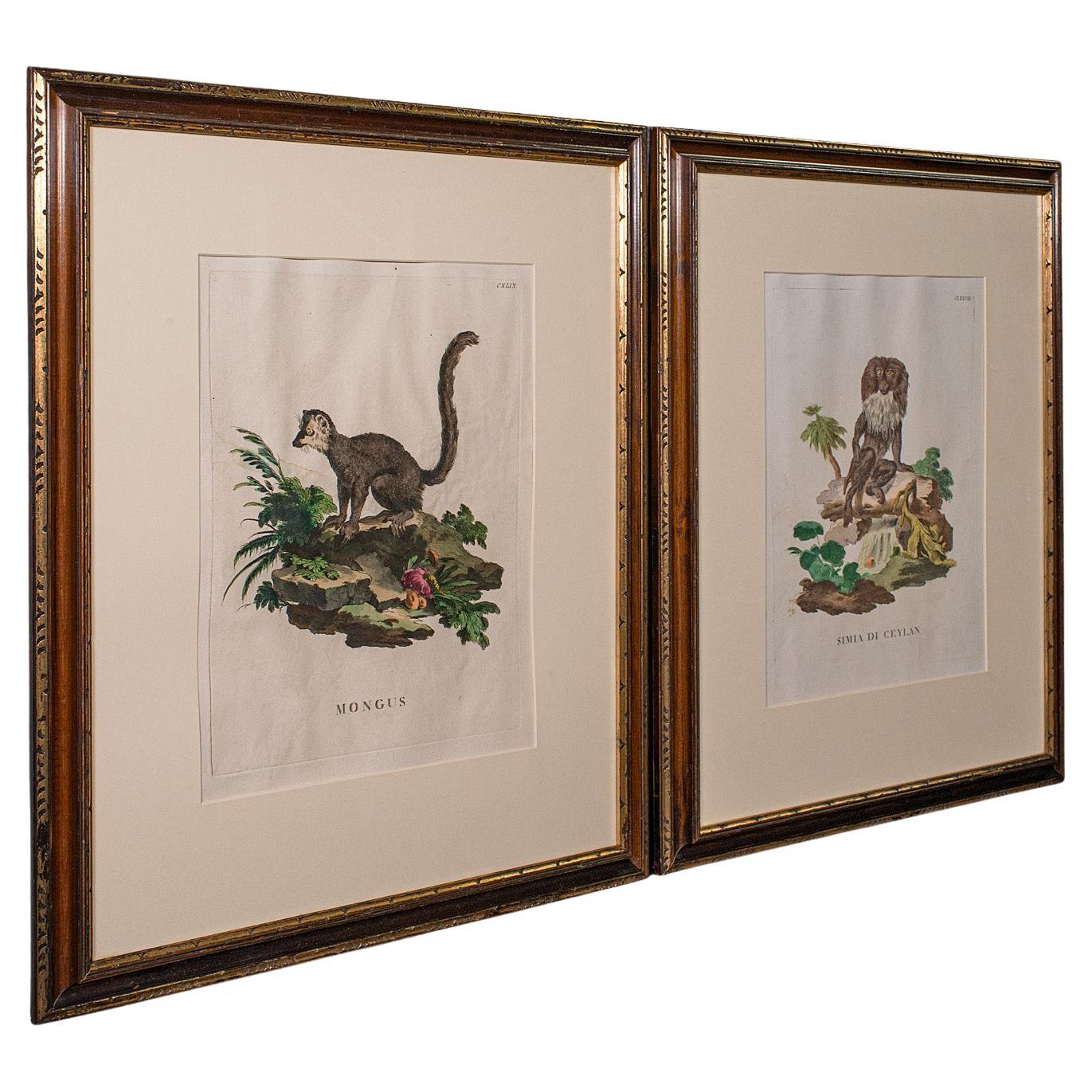 Pair of Antique Animal Portraits, French, Framed Pictures, Natural Art, Georgian