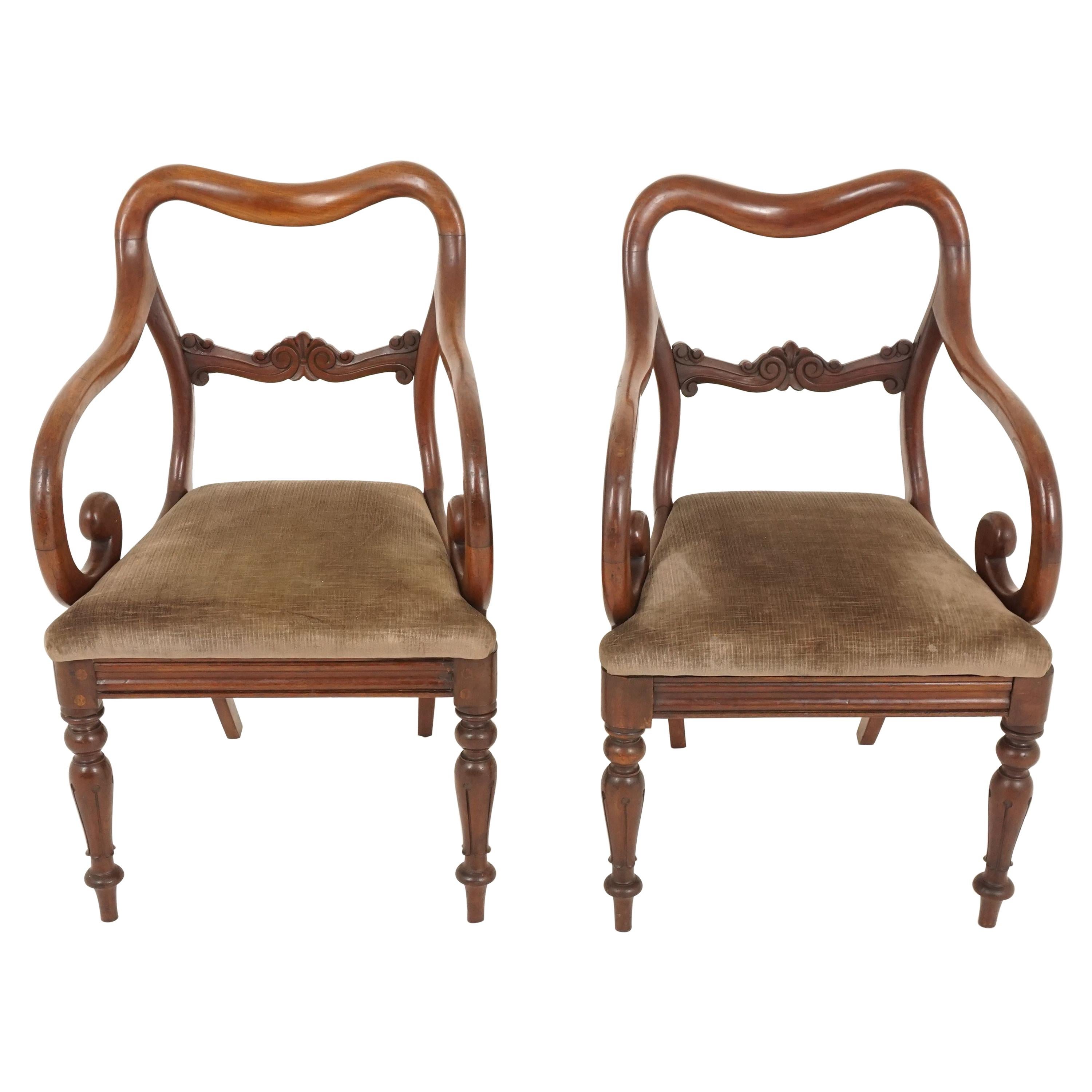 Pair Victorian Mahogany Antique Arm Dining, Library Chairs, Scotland 1840, B2473