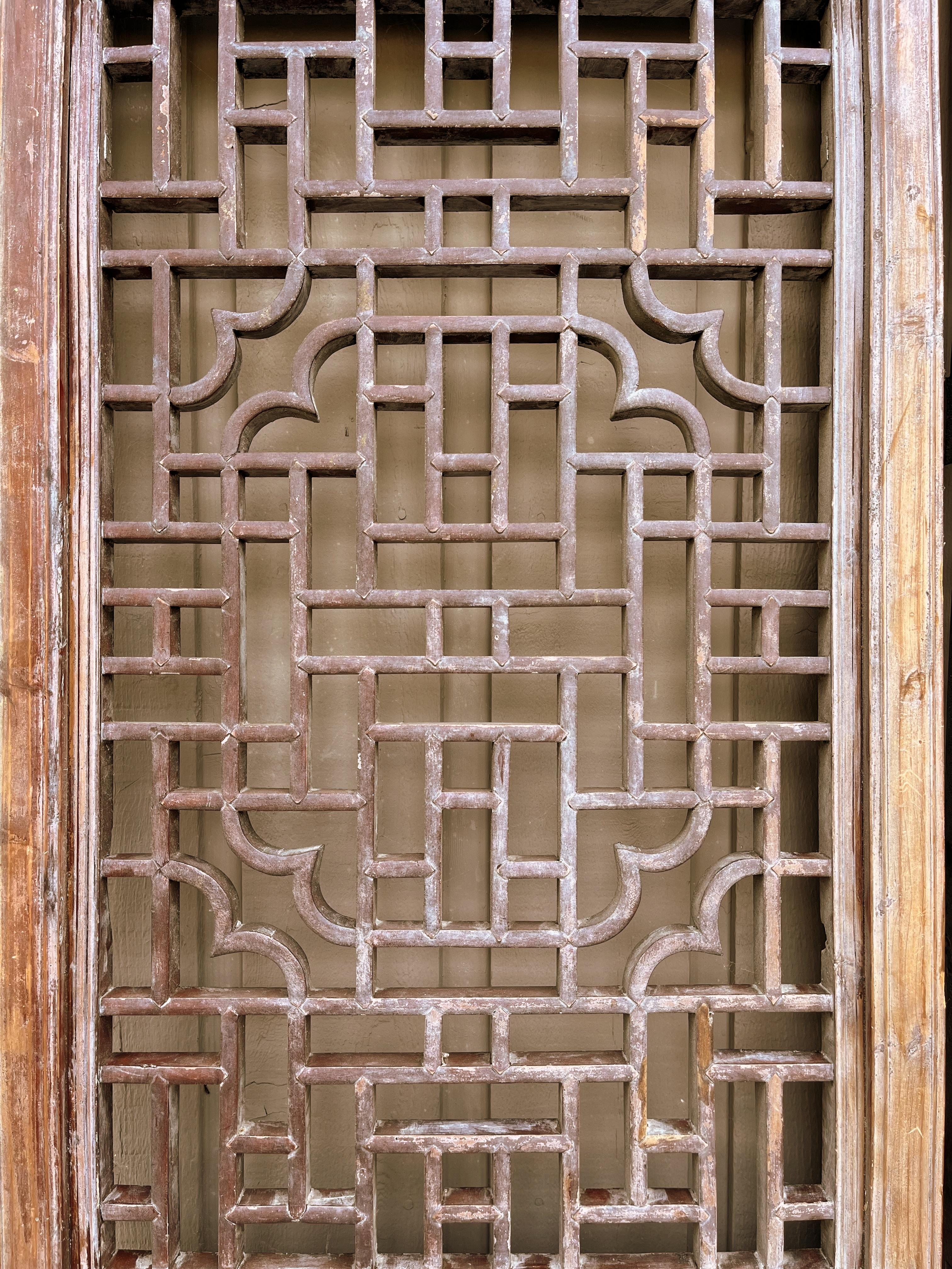 Pair of Antique Asian Door Panels with Relief Carvings For Sale 2