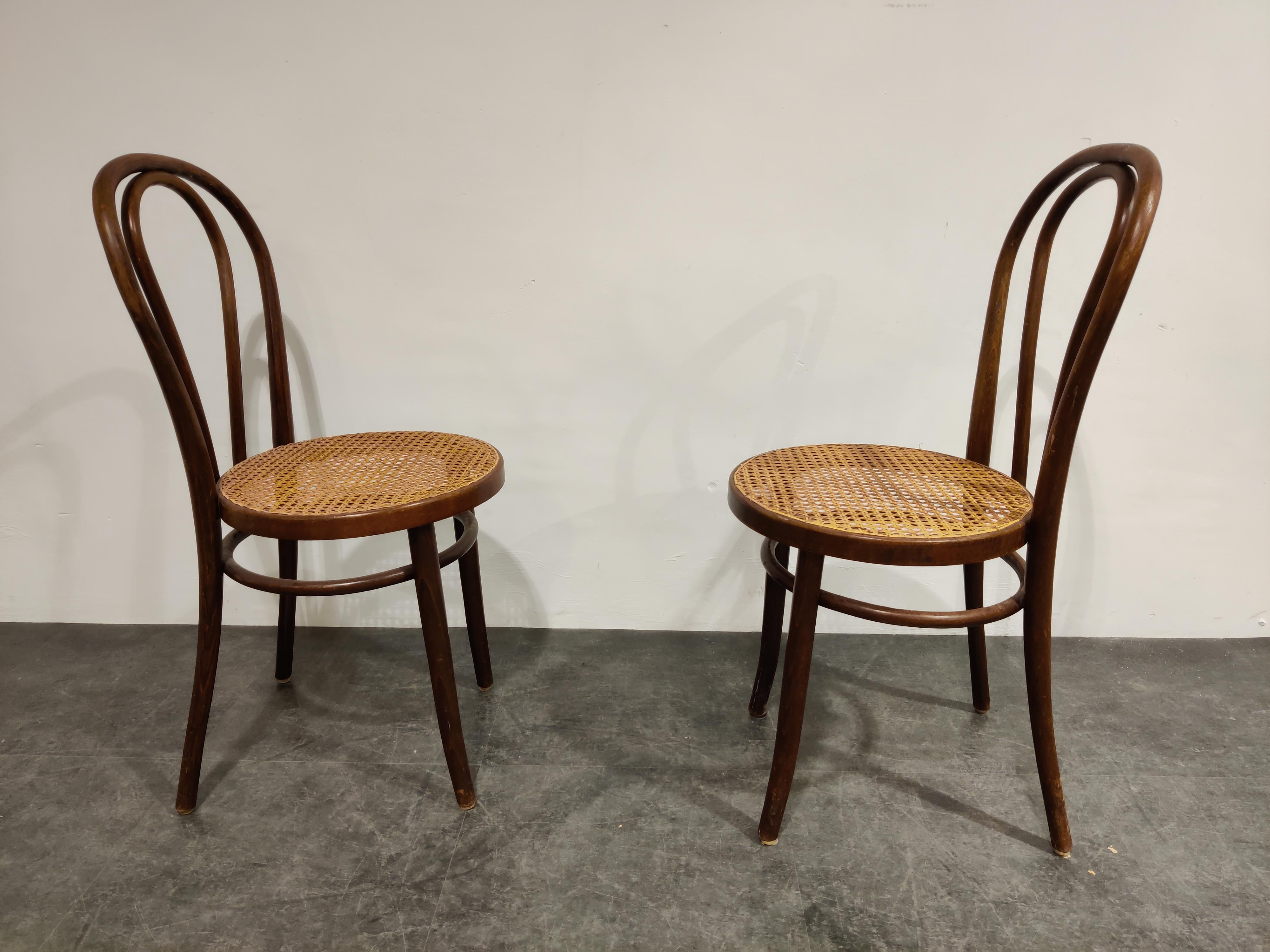 Art Nouveau Pair of Antique Bentwood Dining Chairs, 1950s