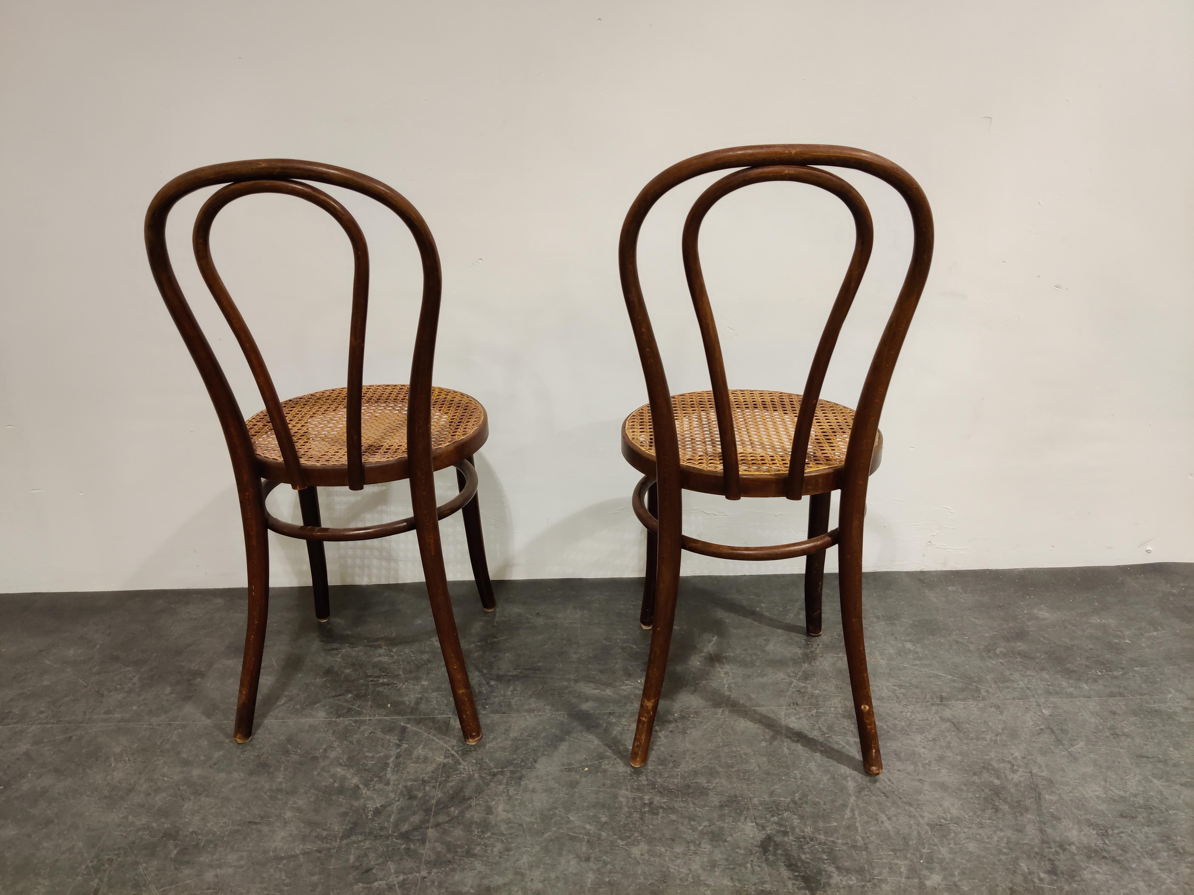Romanian Pair of Antique Bentwood Dining Chairs, 1950s