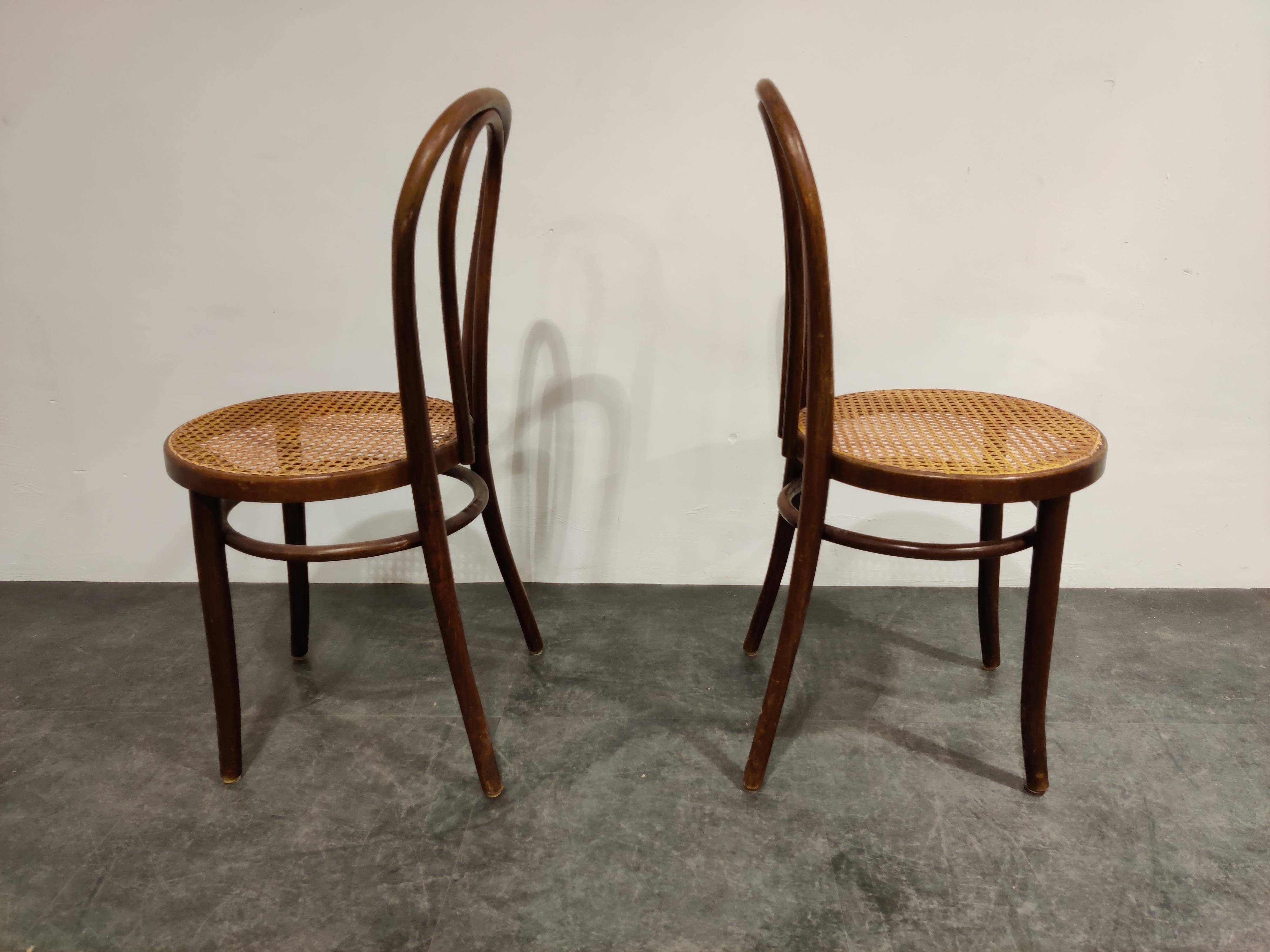 Pair of Antique Bentwood Dining Chairs, 1950s In Good Condition In HEVERLEE, BE