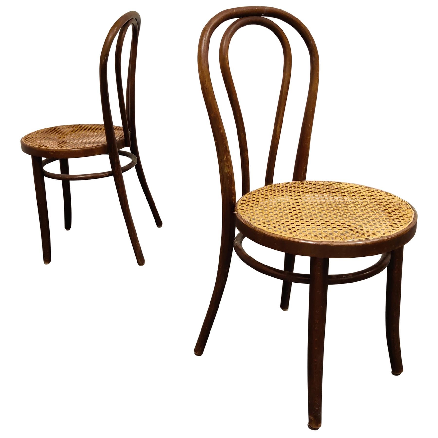 Pair of Antique Bentwood Dining Chairs, 1950s
