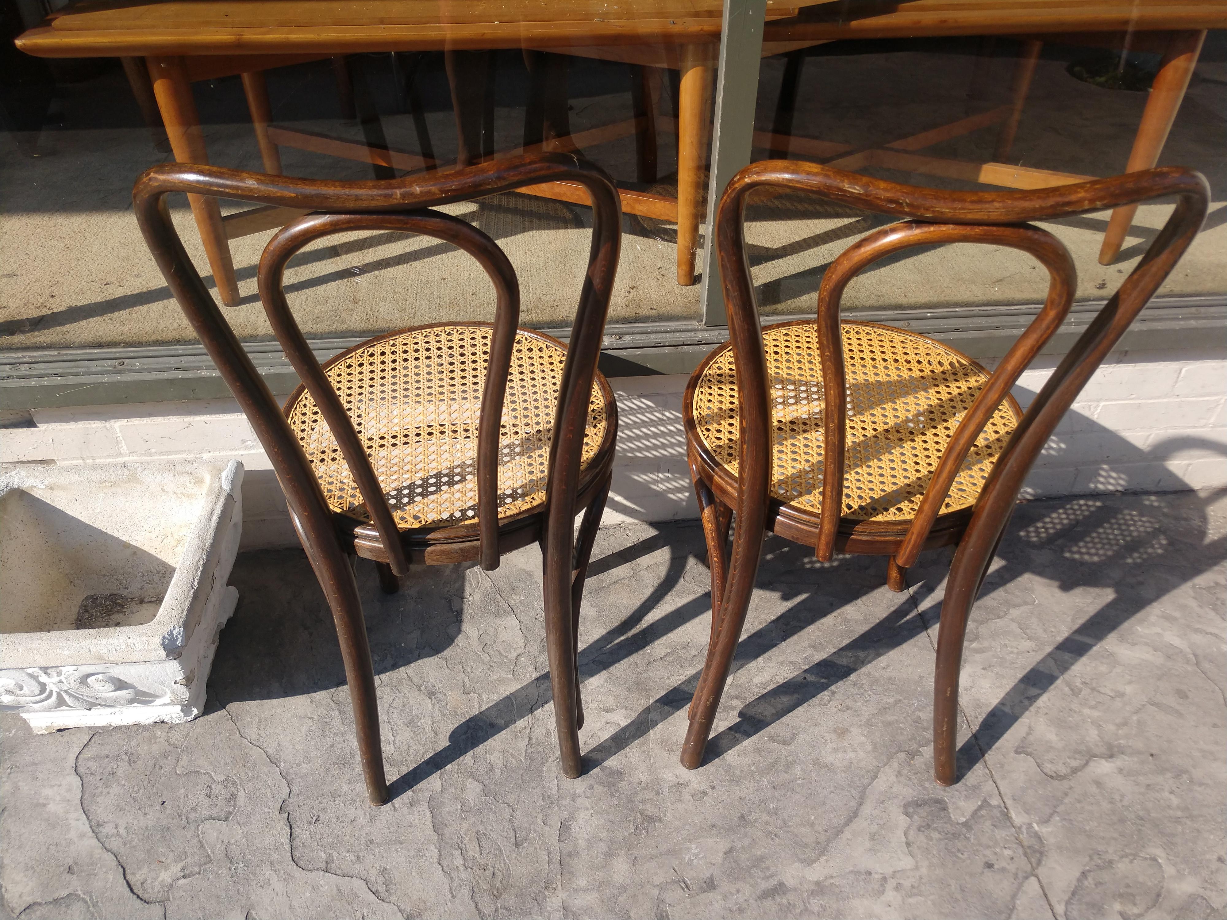 Modern Pair of Antique Bentwood with Caned Seats Dining Cafe Chairs