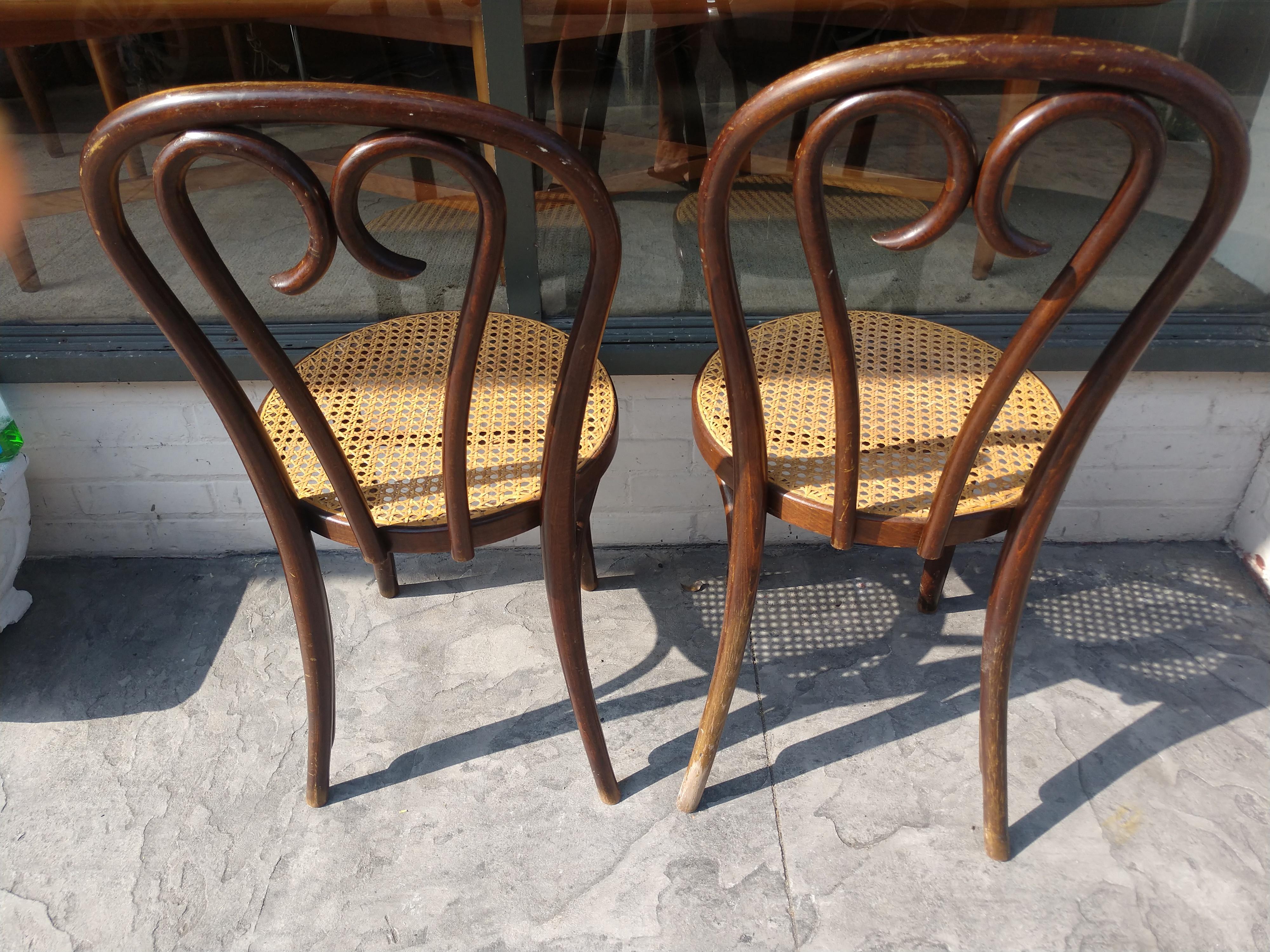 Modern Pair of Antique Bentwood with Caned Seats Dining Cafe Chairs
