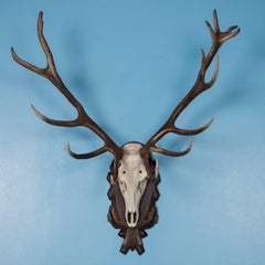 Pair of Antique Black Forest Red Deer Antler Mounts