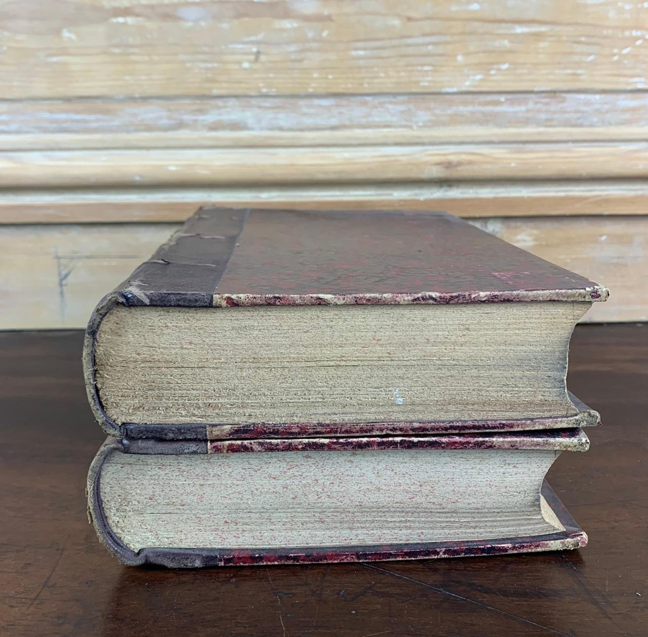 Pair of Antique Books Dating from the 19th Century France In Good Condition In Beuzevillette, FR