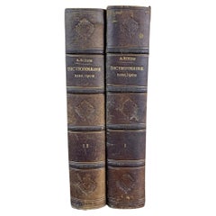 Paar antike Bücher aus Frankreich aus dem 19. Jahrhundert 