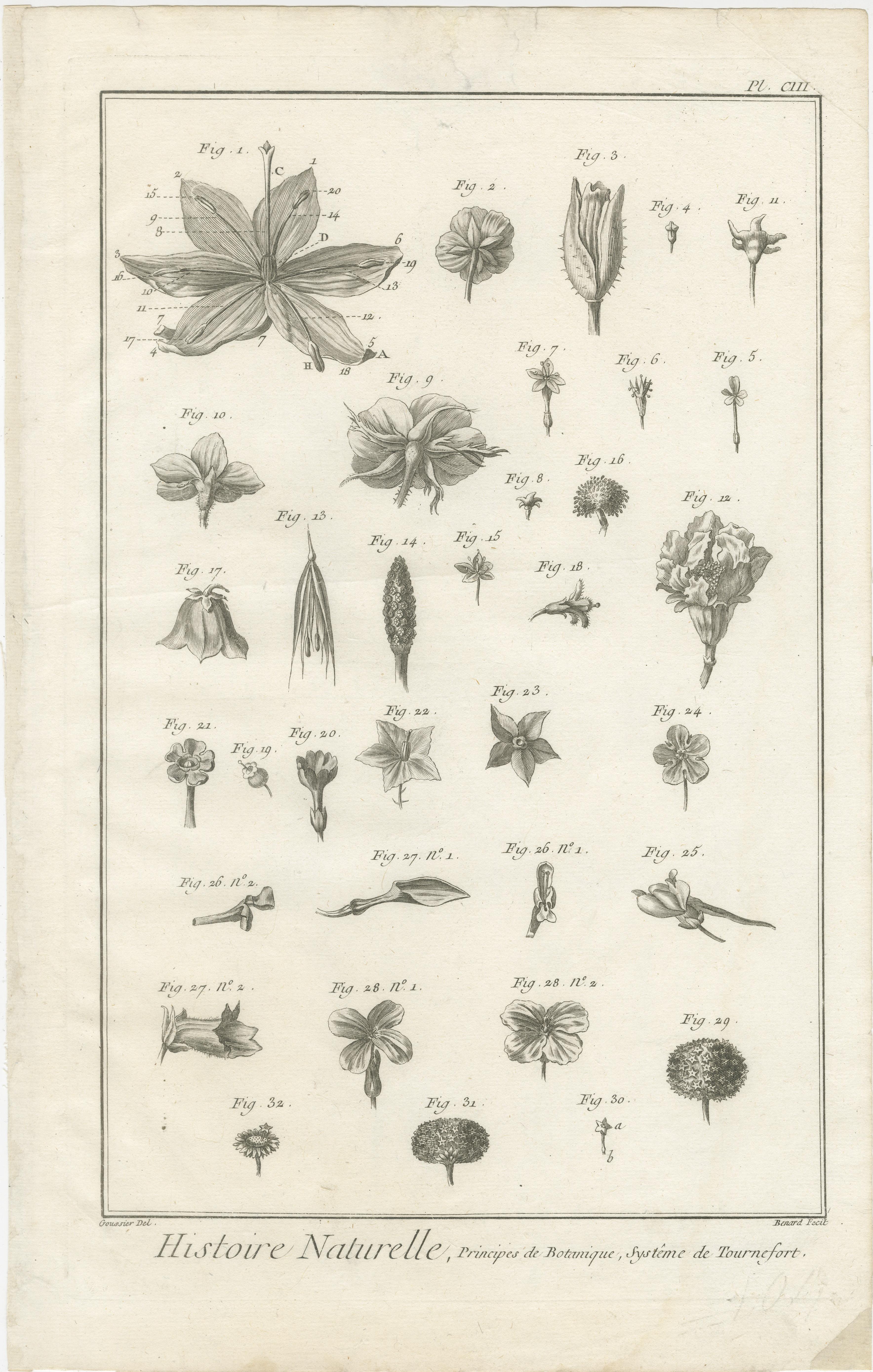 Paire de gravures botaniques anciennes, systèmes Tournefort et Linnæus, vers 1770

Rare paire de gravures originales sur cuivre extraites de la monumentale Encyclopédie ou Dictionnaire raisonné des sciences, des arts et des métiers de Denis Diderot