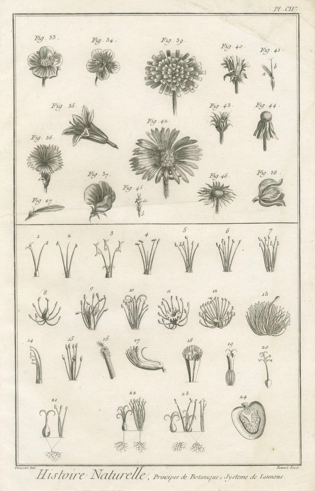 Gravé Paire de gravures botaniques anciennes, systèmes Tournefort et Linnæus, vers 1770 en vente