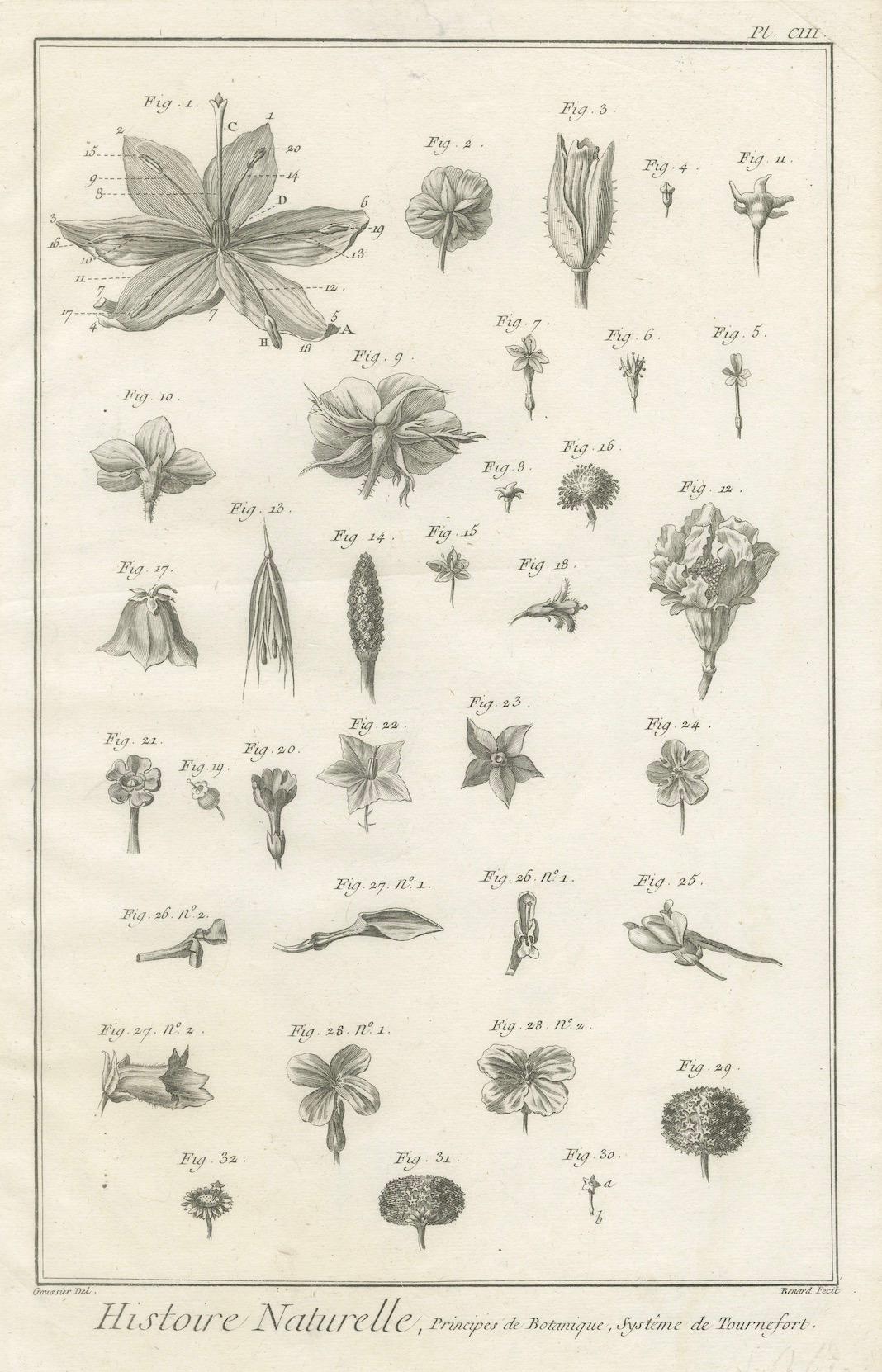 Paire de gravures botaniques anciennes, systèmes Tournefort et Linnæus, vers 1770 Bon état - En vente à Langweer, NL
