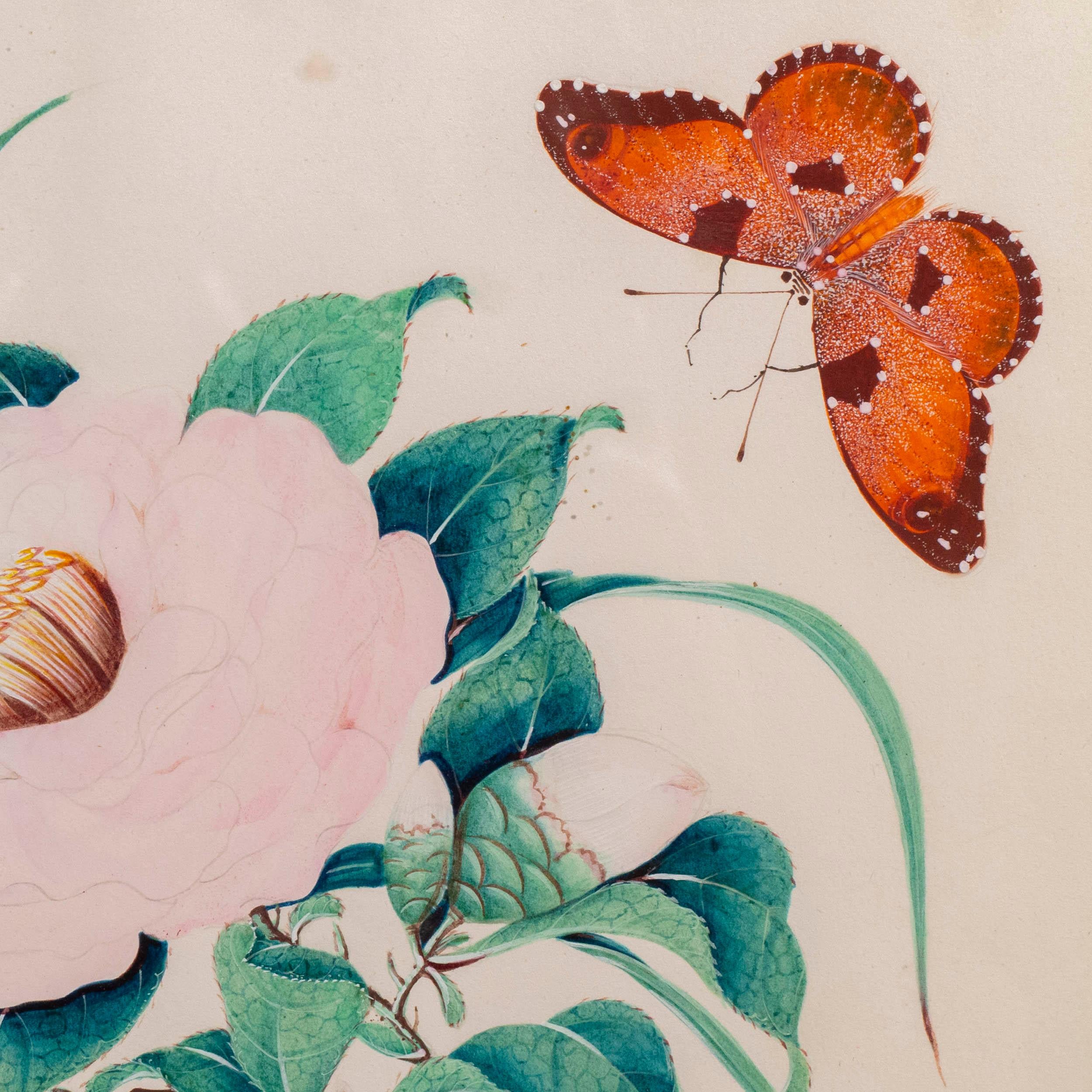 A pair of exquisite gouache / watercolour studies of exotic flowers and butterflies;
European in the Cantonese style, circa 1900.

Why we like them
Exquisitely hand-painted with lots of minute details, vibrant and luscious, these beautiful
