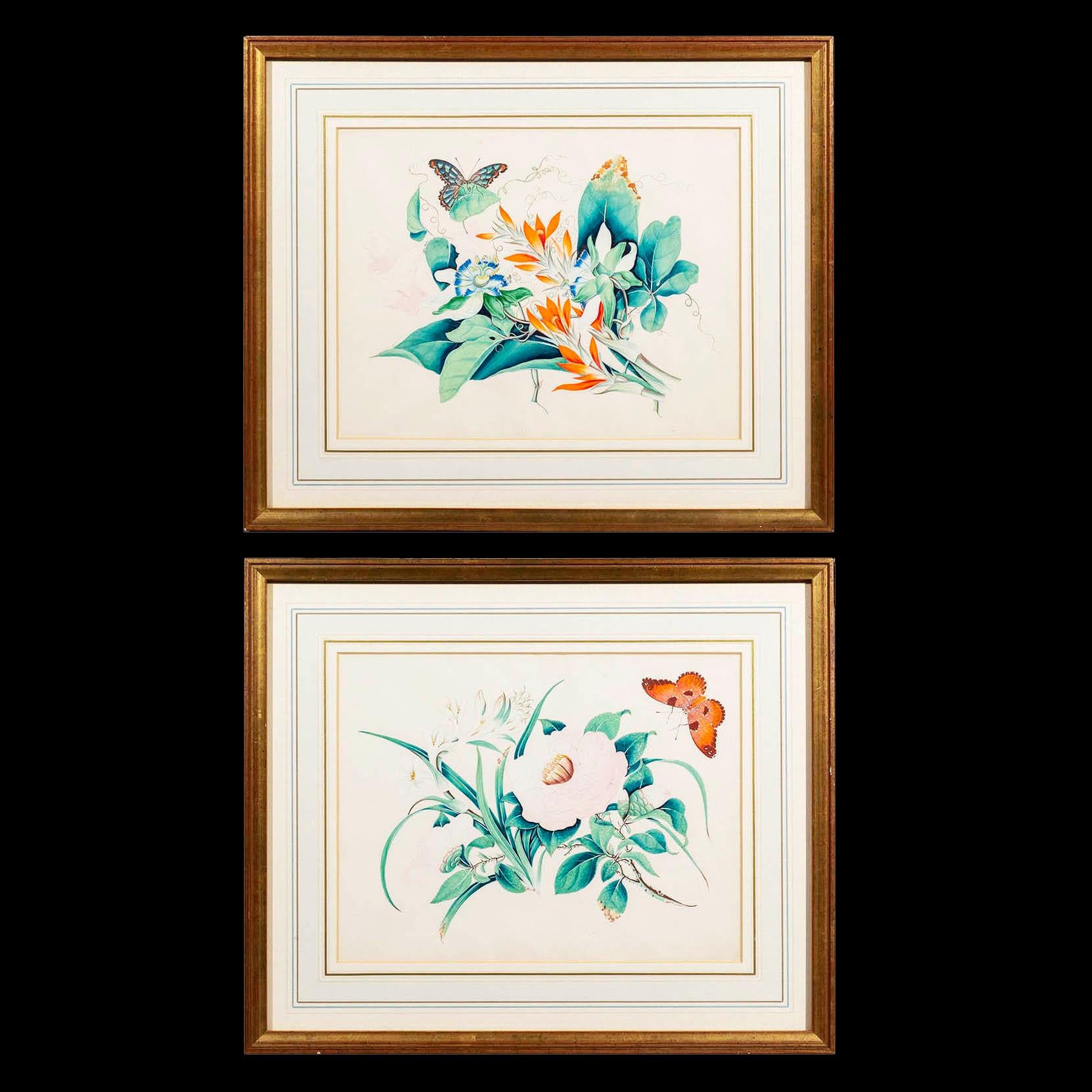 Chinese Export Pair of Antique Botanical Pictures of Exotic Flowers and Butterflies For Sale