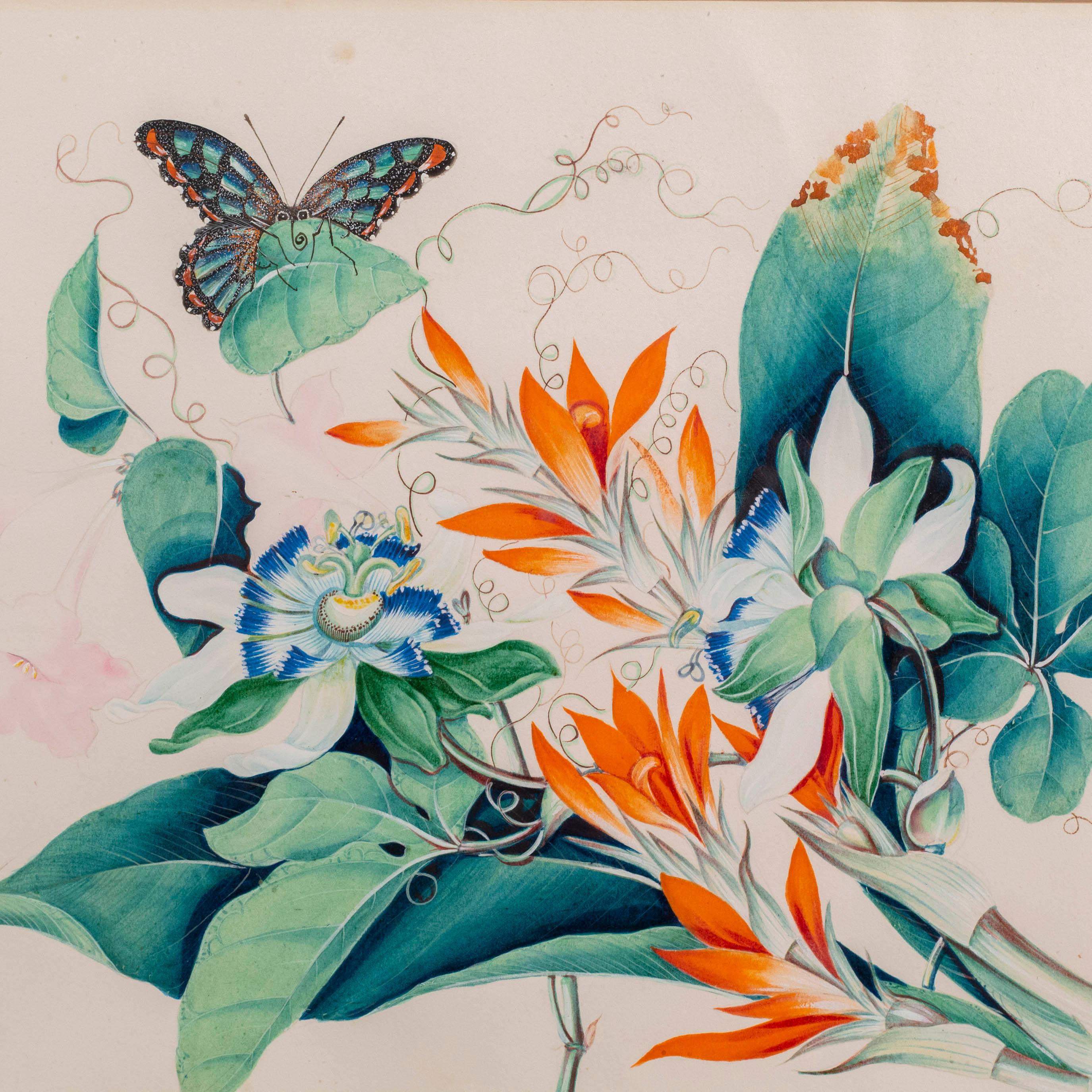 20ième siècle Paire de tableaux botaniques anciens représentant des fleurs et des papillons exotiques en vente