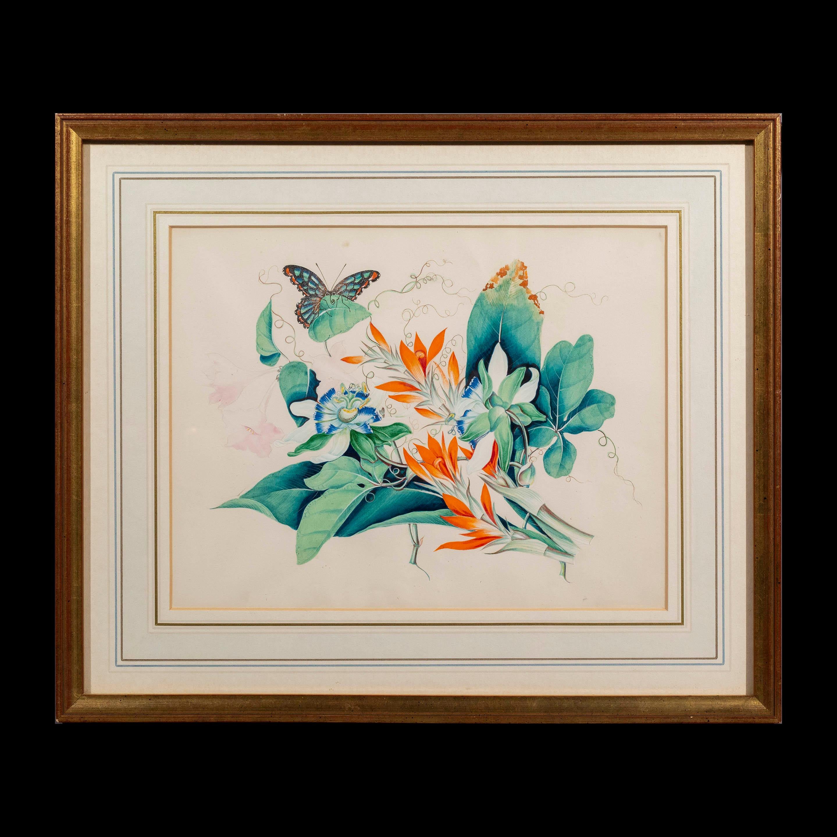 20th Century Pair of Antique Botanical Pictures of Exotic Flowers and Butterflies For Sale
