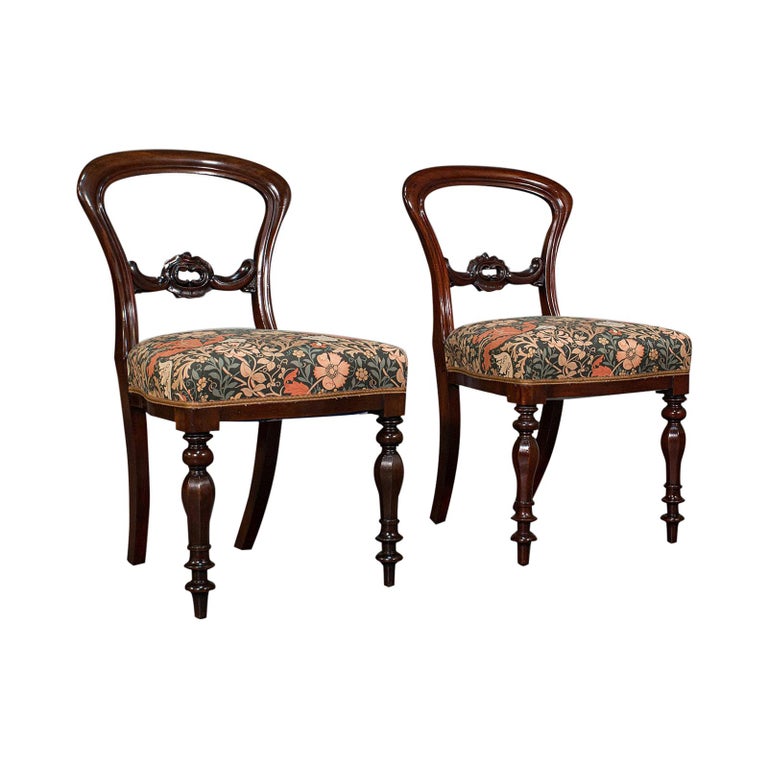 Paar antike Stühle mit Schnallenrücken, englisch, Nussbaum, Esszimmer,  Beistellstühle, viktorianisch im Angebot bei 1stDibs