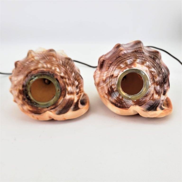 Pair of Antique Carved Conch Shell Accent Table Lamps with Mythological ...