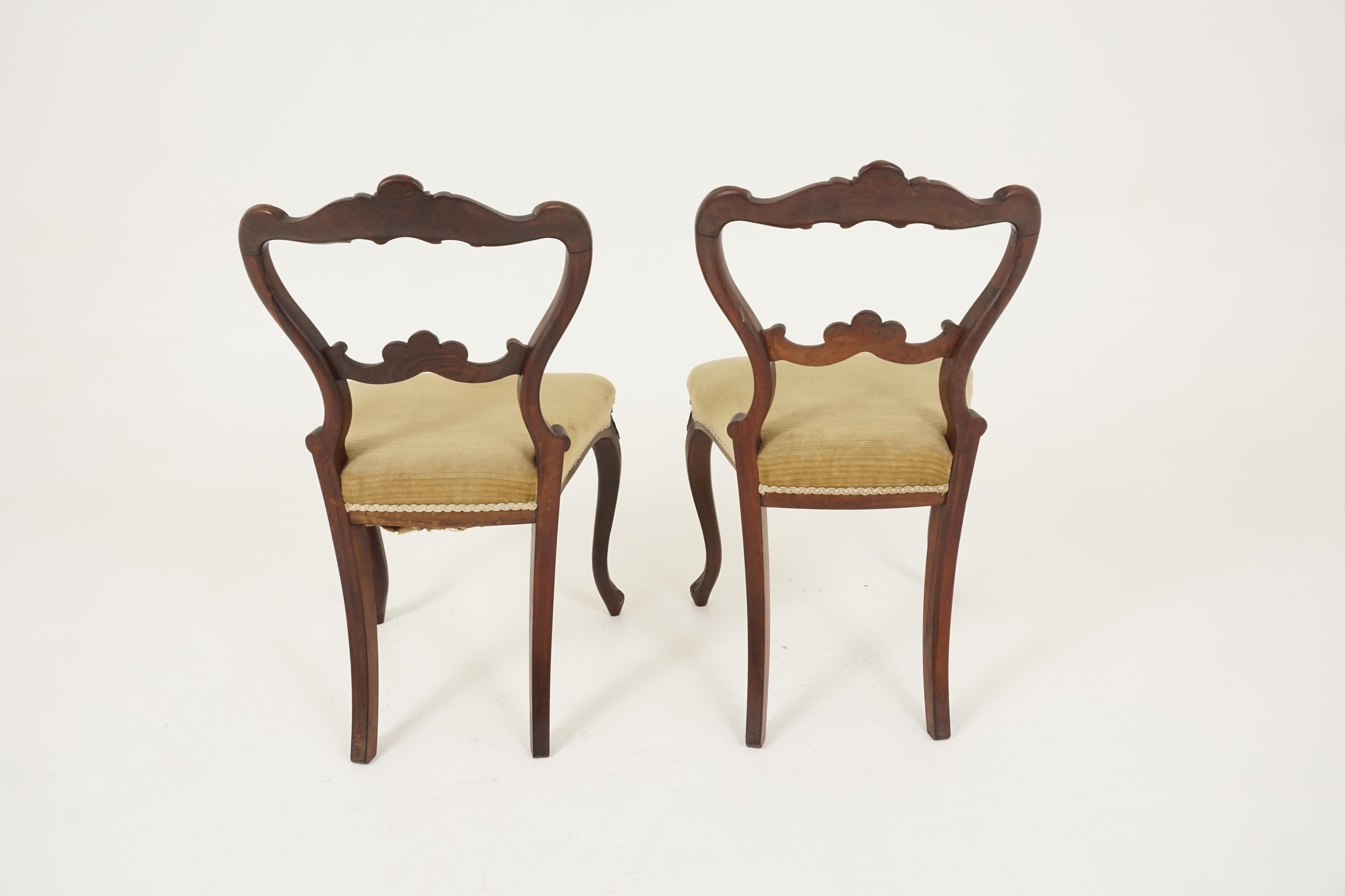 Late 19th Century Pair of Antique Carved Walnut Occasional Chairs, Scotland 1870, B2462