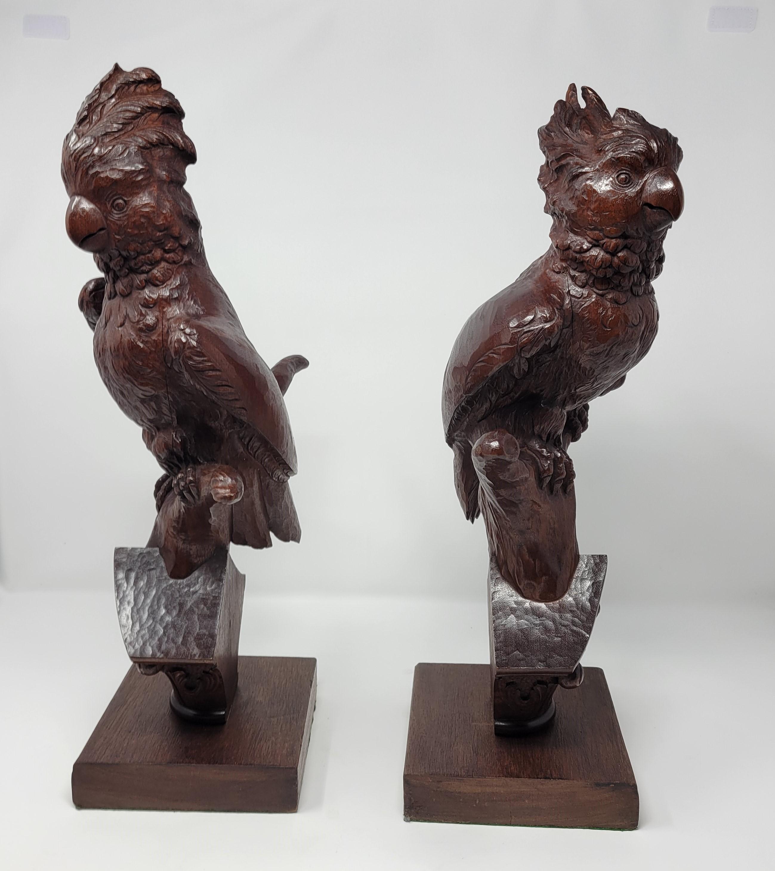 European Pair of Antique Carved Wood Cockatoos  For Sale