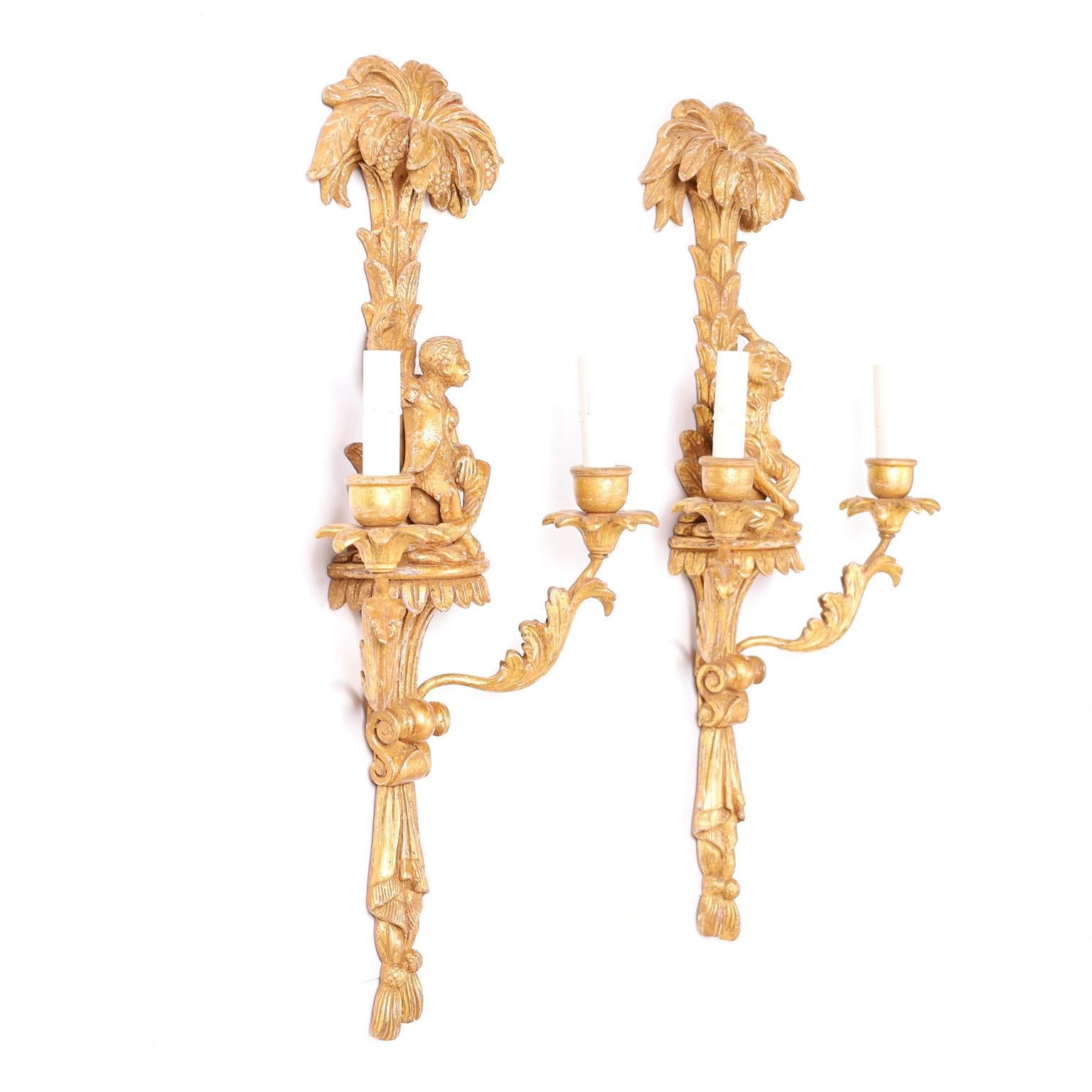 True pair of classical antique Italian two light wall sconces gessoed and gilt having well dressed monkeys sitting under palm trees on pedestals over candle cup arms with acanthus leaves and drapes and tassels at the bottom.