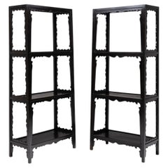 Pair of Antique Chinese Cartouche Collector's Shelves, Late 19th Century