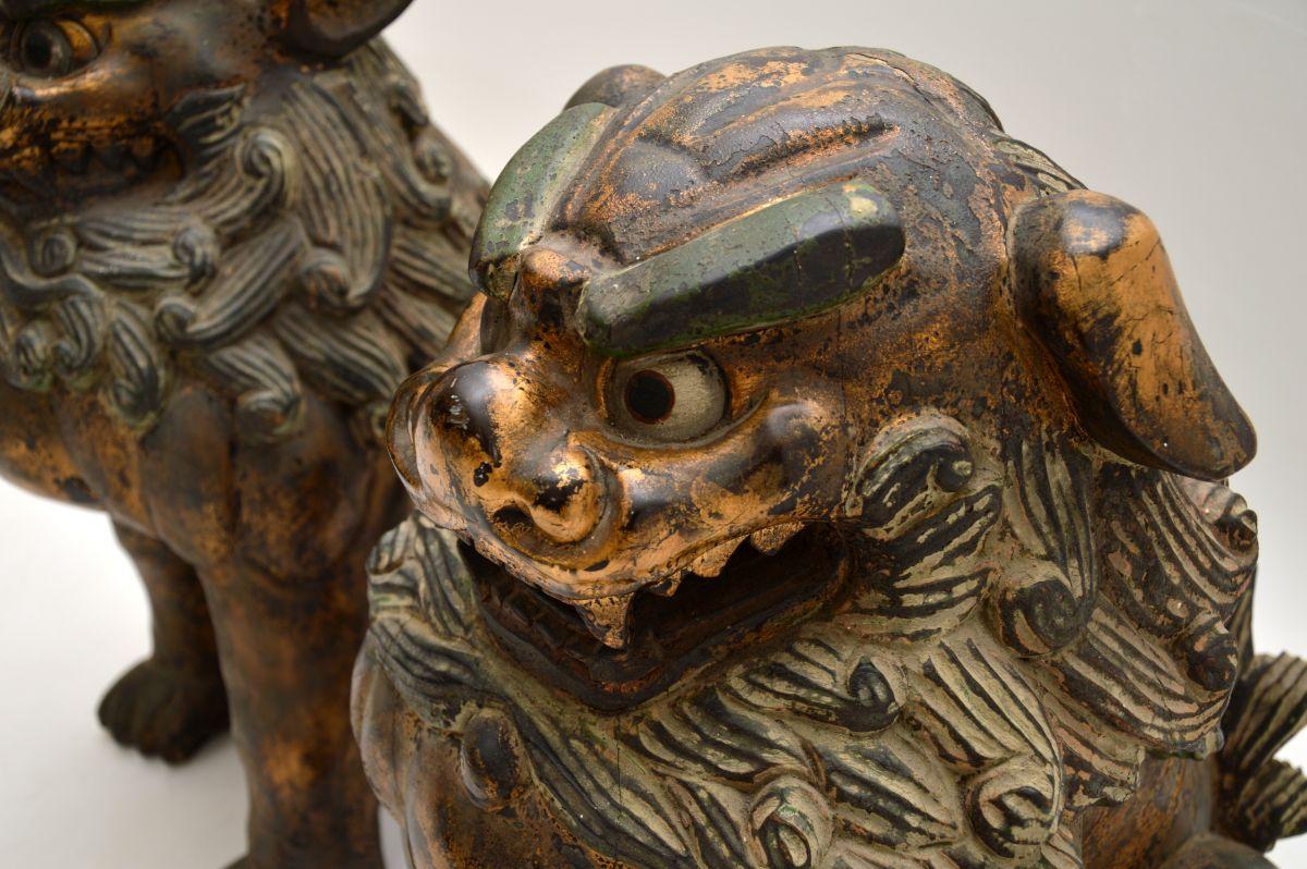 Paire d'anciennes statues de chien en bois sculpté chinoises Wood Wood en vente 2