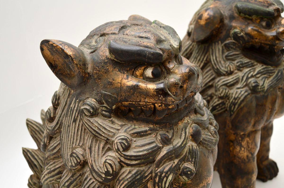 Paire d'anciennes statues de chien en bois sculpté chinoises Wood Wood en vente 3