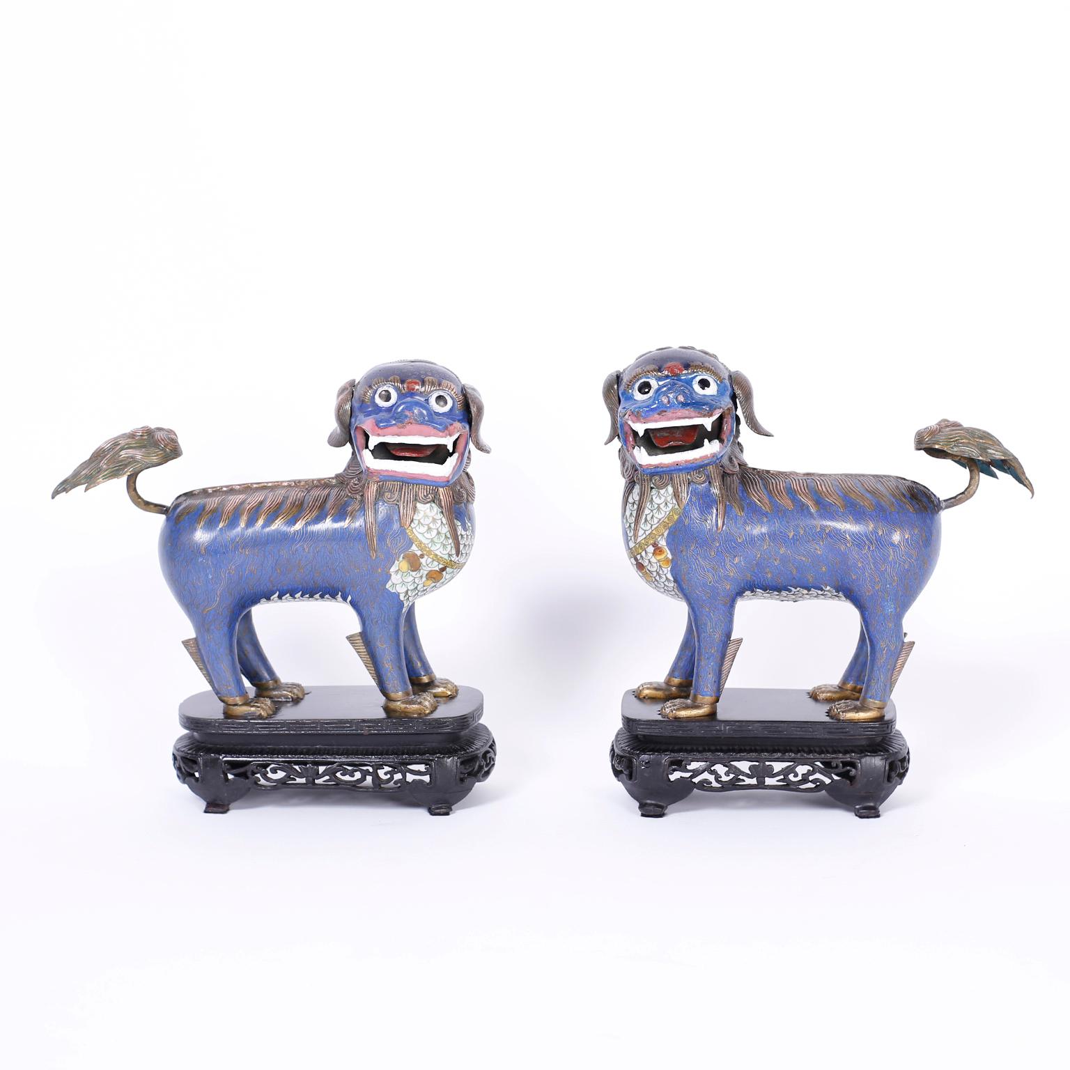 Unusual pair of Chinese cloisonné foo lions featuring exaggerated expressions, stylized big cat characteristics, alluring blue background, and presented on the original carved and ebonized bases.