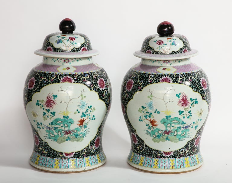 A Monumental pair of antique Chinese Famille Noire hand painted Porcelain covered ginger jars/vases. Of baluster form, each of these beautiful vases are hand painted with gorgeous enamels on a noire or black ground. The noire bodies are intricately