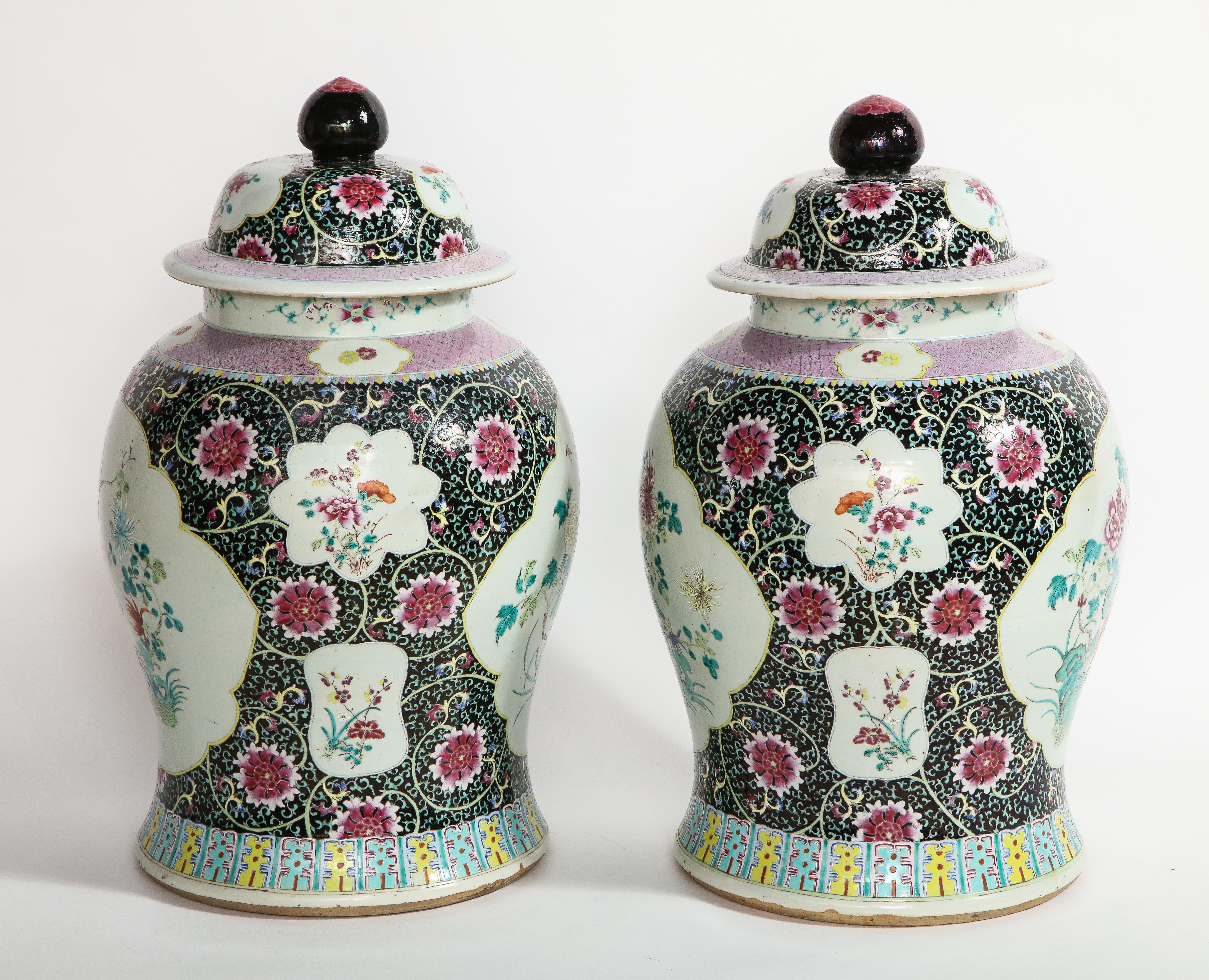 Pair of Antique Chinese Famille Noire Ground Porcelain Covered Ginger Jars/Vases In Good Condition In New York, NY