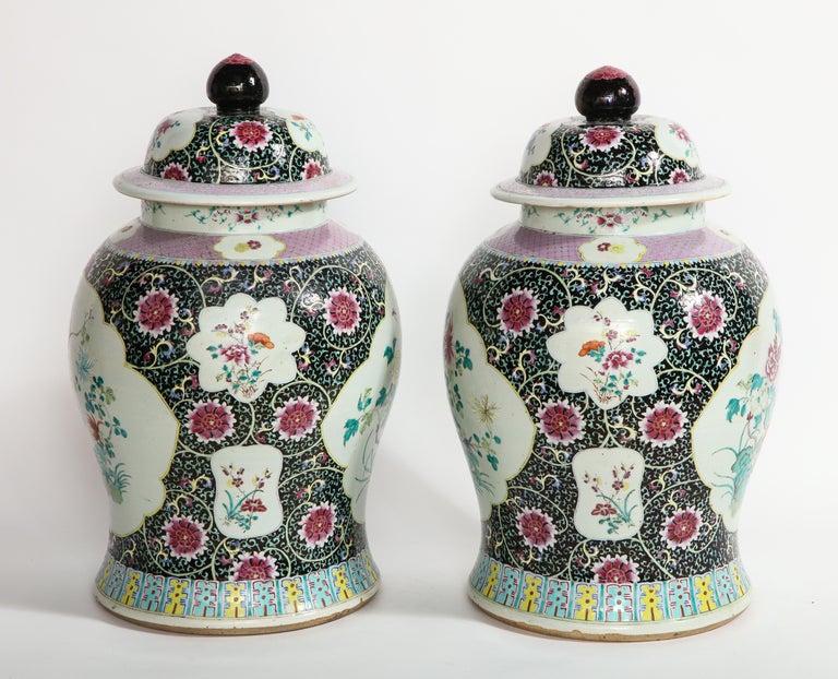 Pair of Antique Chinese Famille Noire Ground Porcelain Covered Ginger Jars/Vases For Sale 1