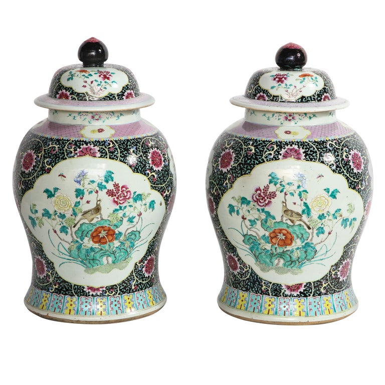 Pair of Antique Chinese Famille Noire Ground Porcelain Covered Ginger Jars/Vases For Sale