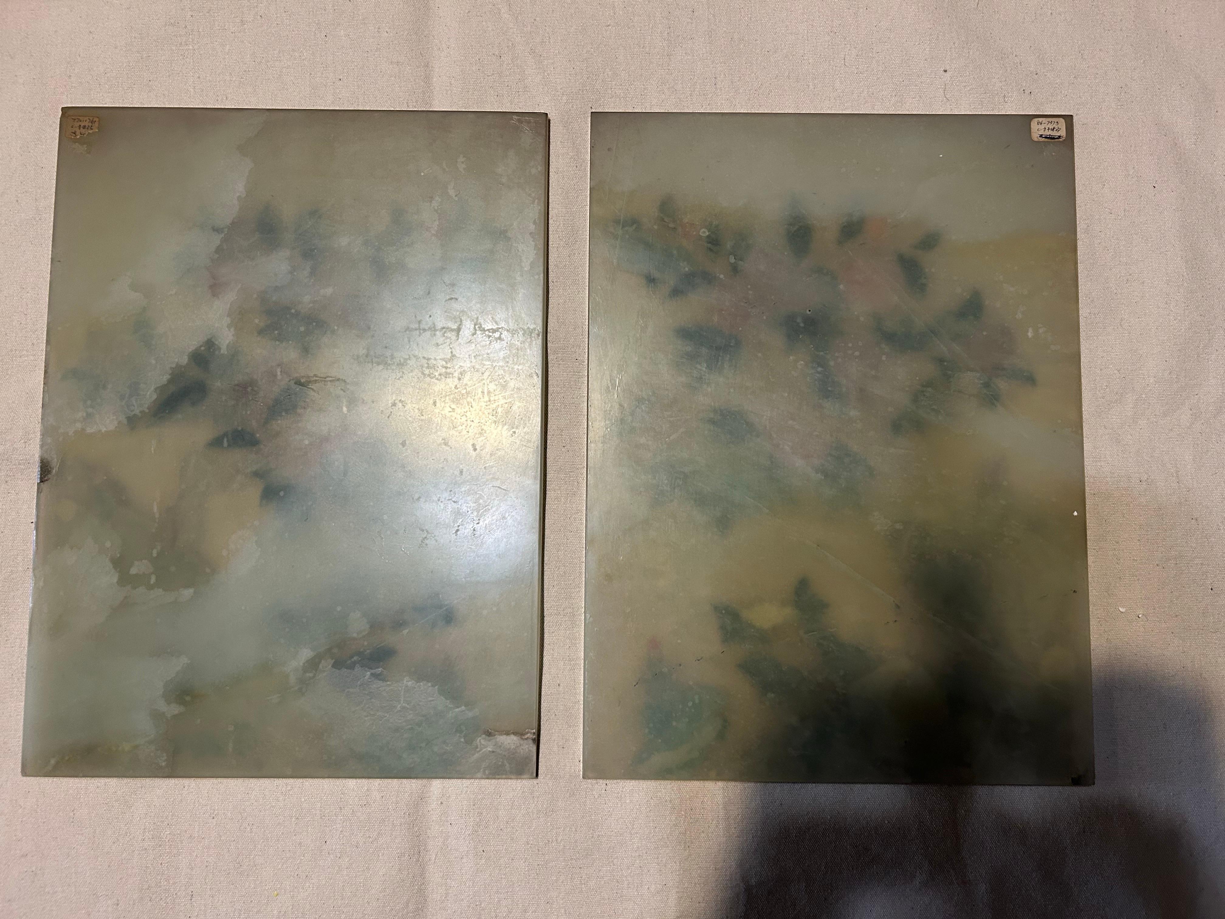 Pair Of Antique Chinese Finely Carved Jade Scholar Screens With Fine Floral Work For Sale 10