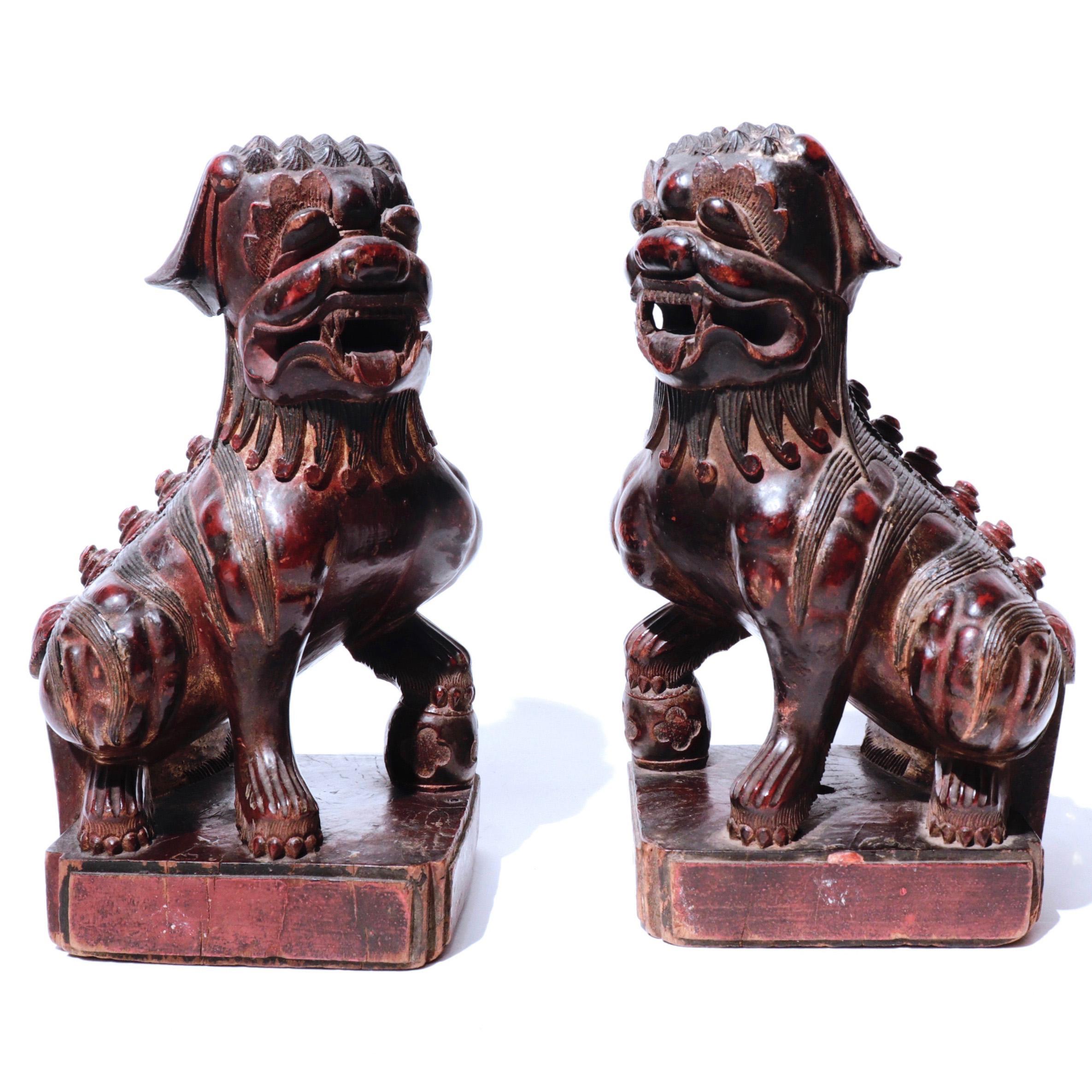 Chinese pair of wood carved Fu Dogs, rendered from a single block of hardwood each, with exquisite detailing in a naive style, the dogs are opposing, crouched on their haunches, each with one paw on a drum, detailed musculature and hair spirals