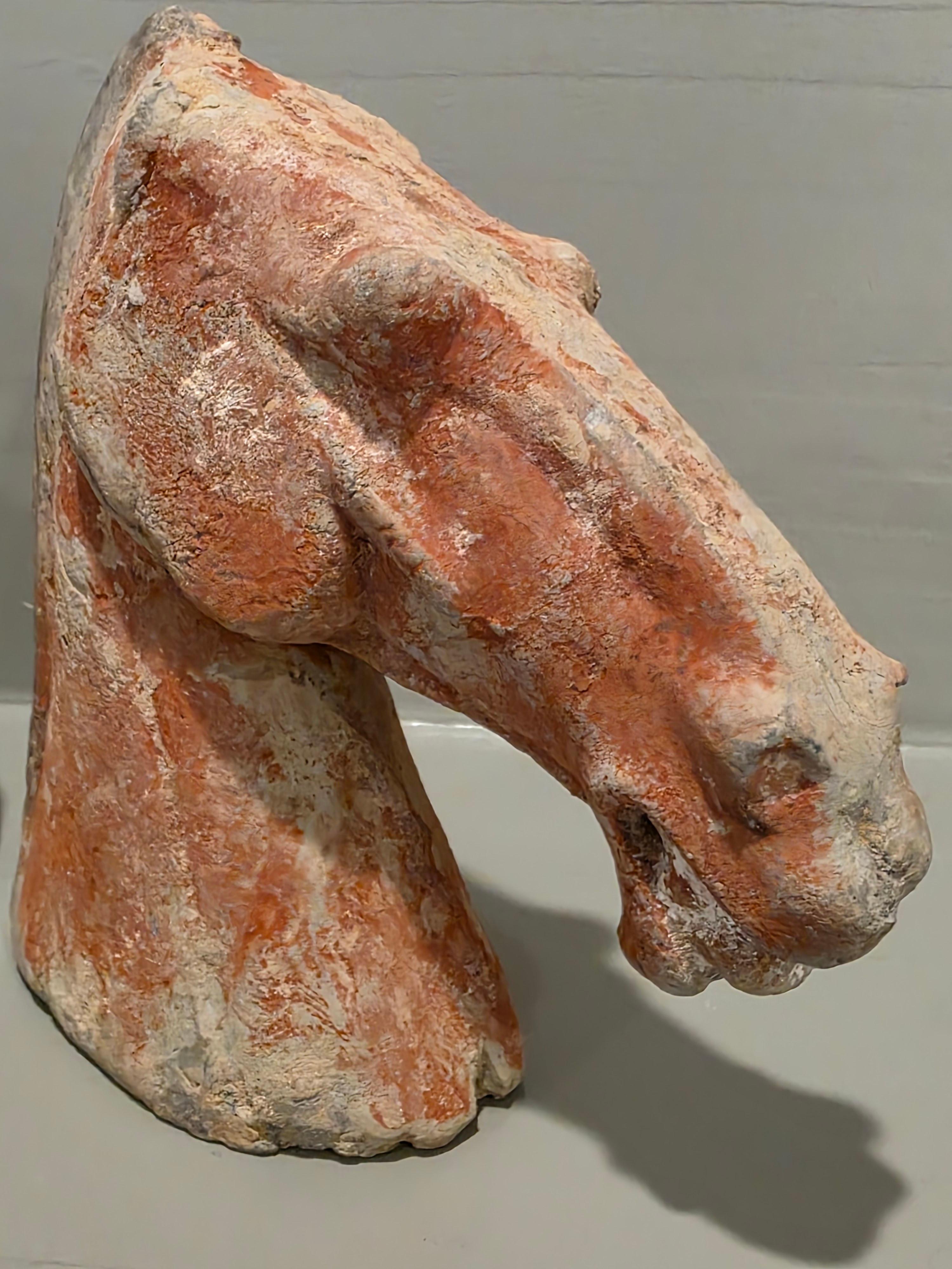 Coppia di antiche figure di tombe funerarie della dinastia cinese Han in ceramica con testa di cavallo rosso in vendita 1