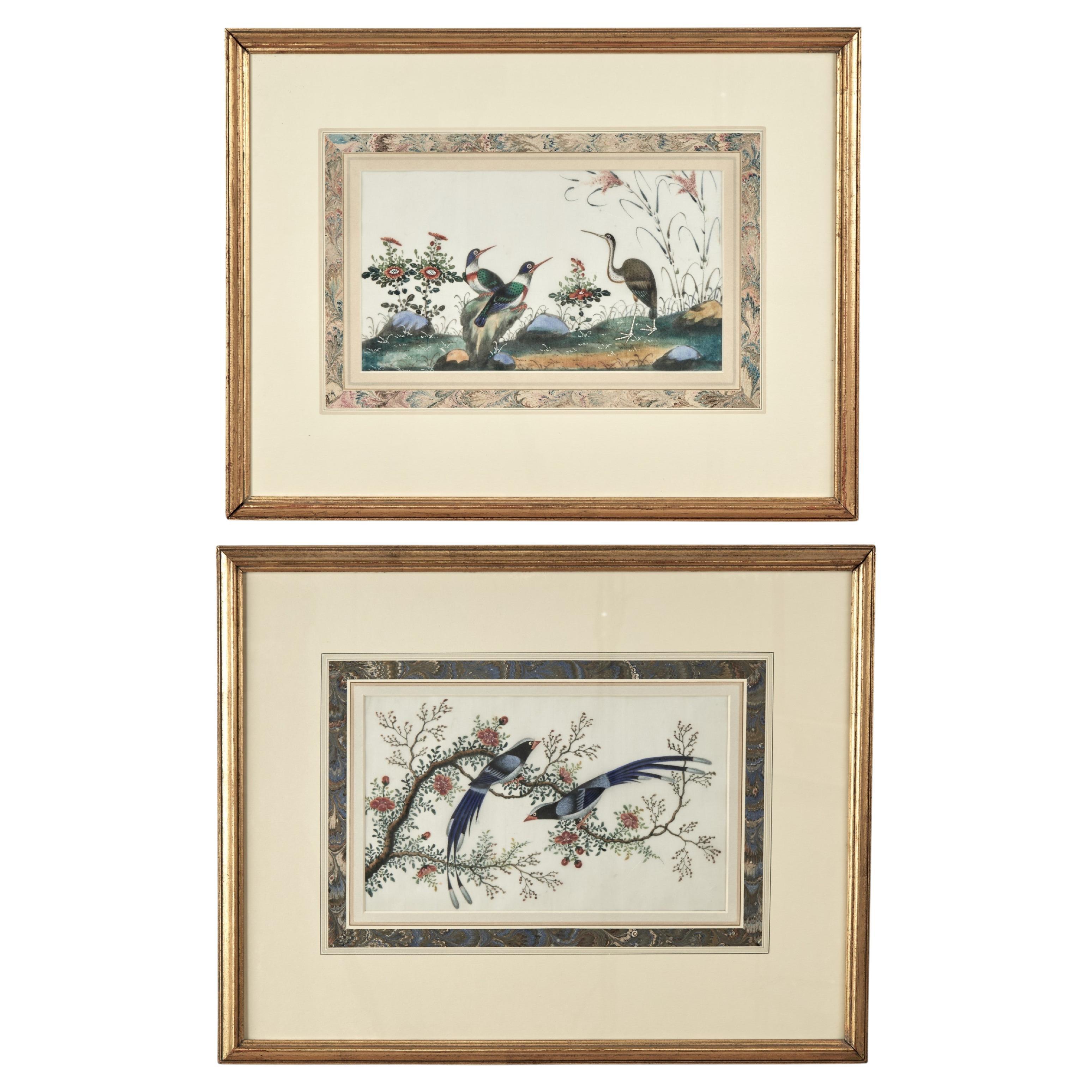 Pair of Antique Chinese Pith Paintings of Birds For Sale