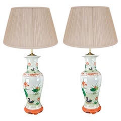 Pair of Antique Chinese Porcelain Lamps With Botanical Detail