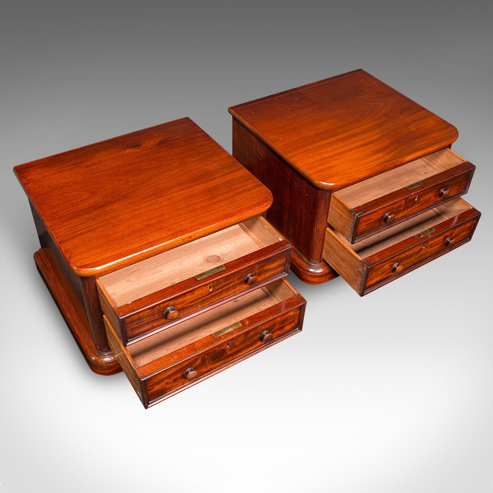 Pair of Antique Collector's Chests, English, Specimen Cases, Victorian, C.1870 For Sale 2