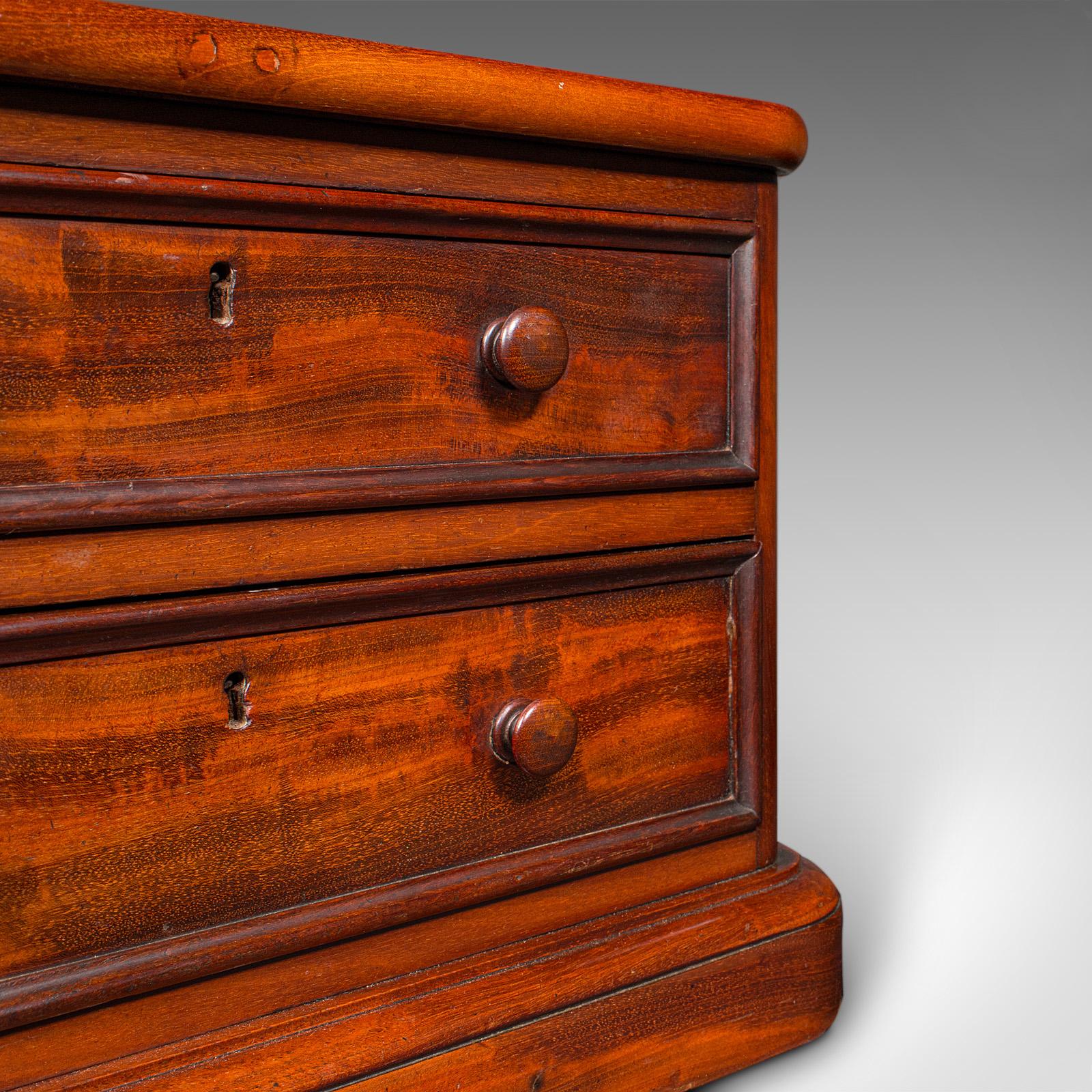 Pair of Antique Collector's Chests, English, Specimen Cases, Victorian, C.1870 For Sale 3