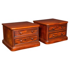 Pair of Antique Collector's Chests, English, Specimen Cases, Victorian, C.1870