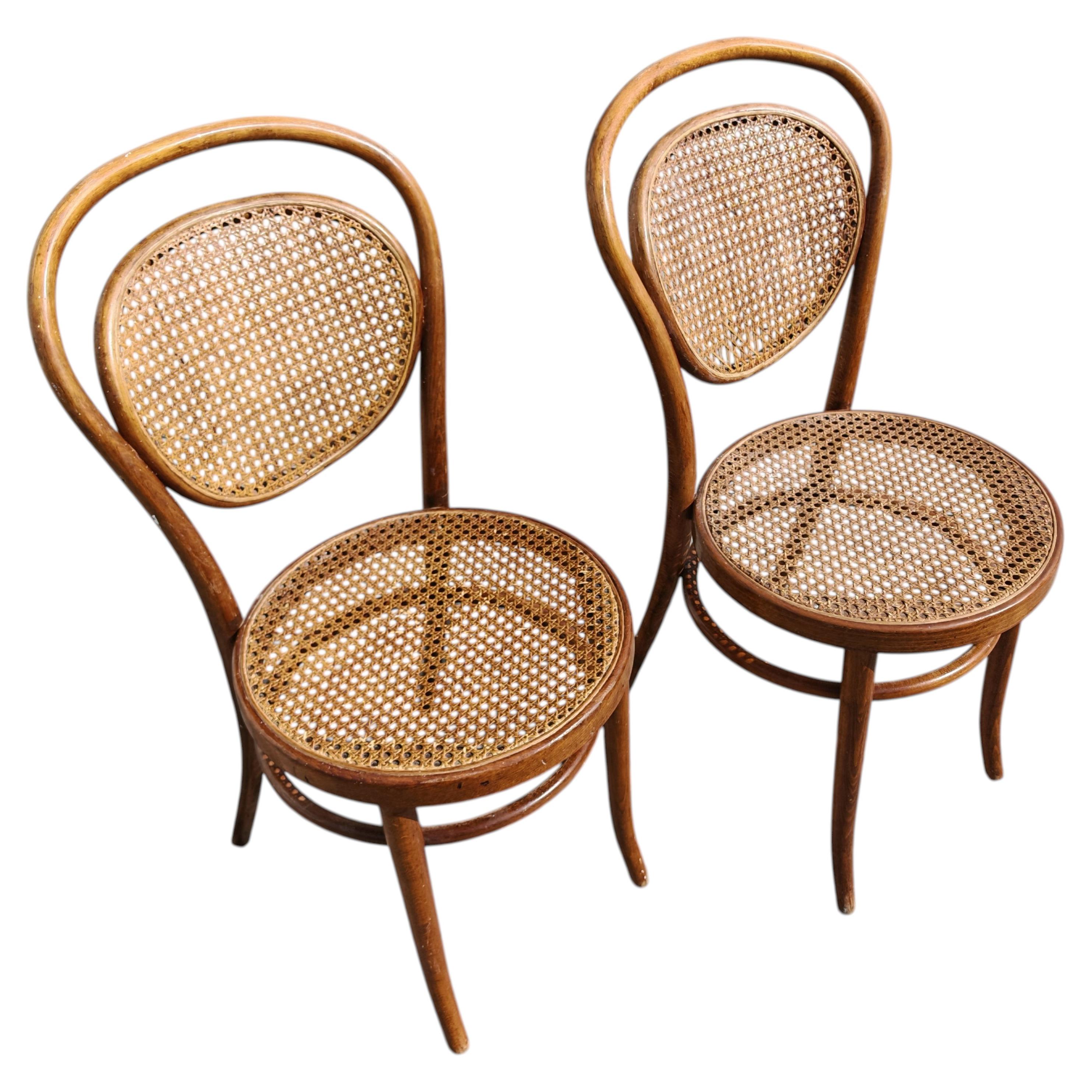 Pair of antique Dining room or Bistro chairs in cane and bentwood by Mundus