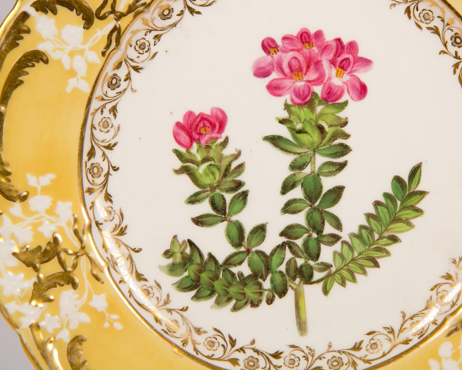 Pair of Antique Dishes with Single Hand-Painted Flower circa 1825 5