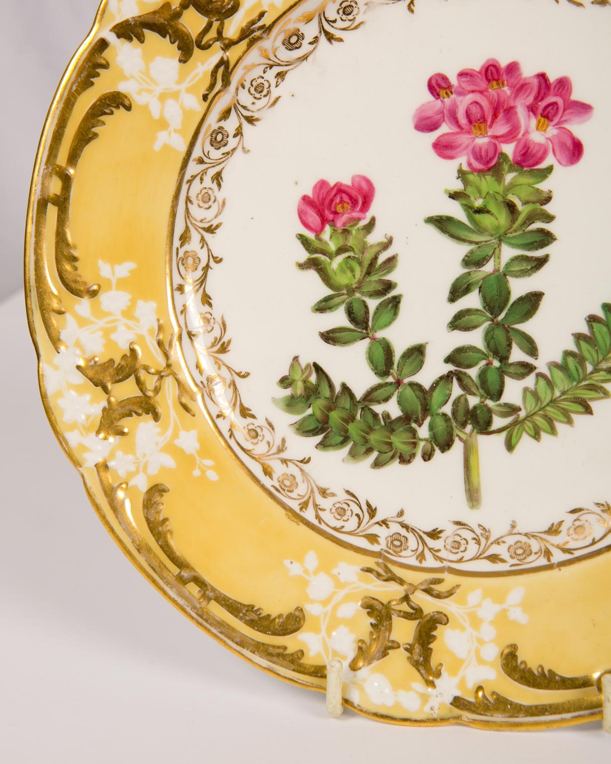 Pair of Antique Dishes with Single Hand-Painted Flower circa 1825 6