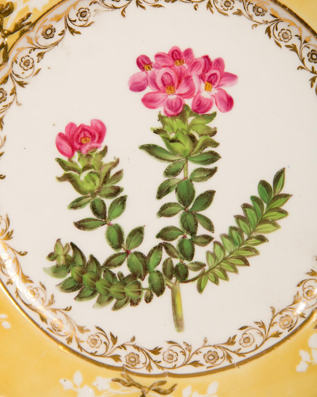 Pair of Antique Dishes with Single Hand-Painted Flower circa 1825 7