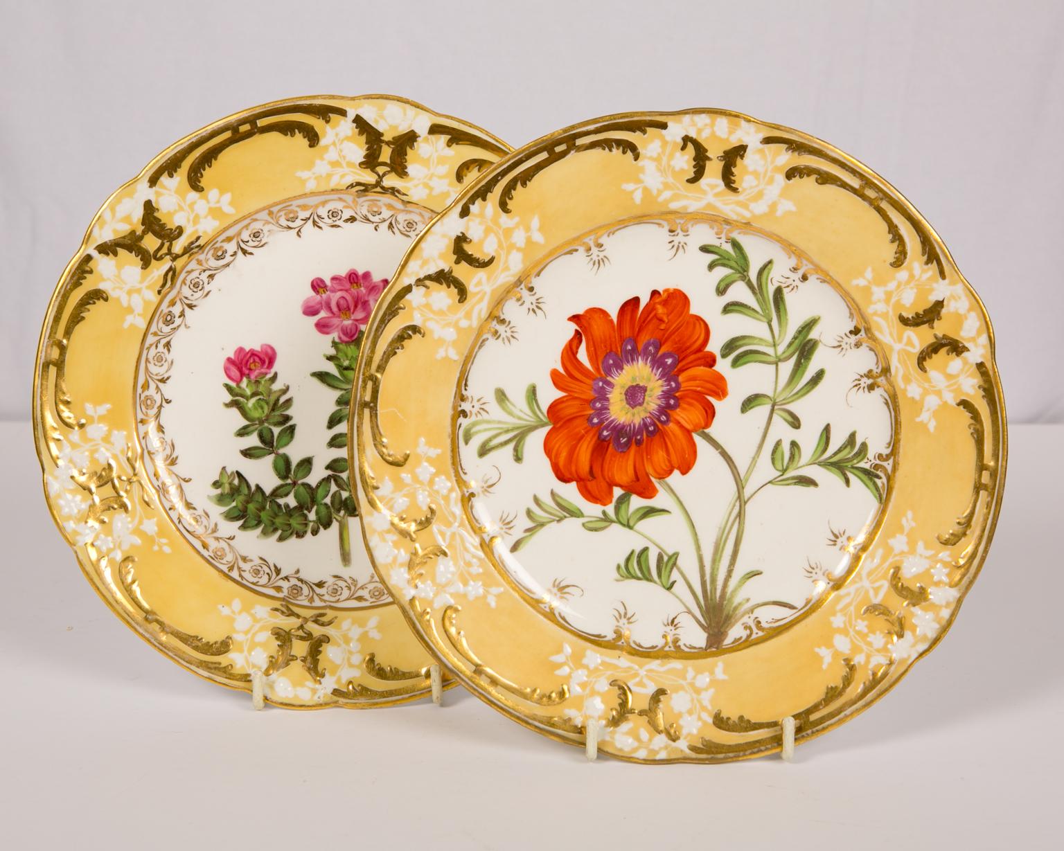 We are pleased to offer this pair of antique dishes with a single hand-painted flower at the centre. The flower is complemented by a buttery yellow border with ornate gold scrolling and delicate white floral wreaths. Each of the pair of flowers has