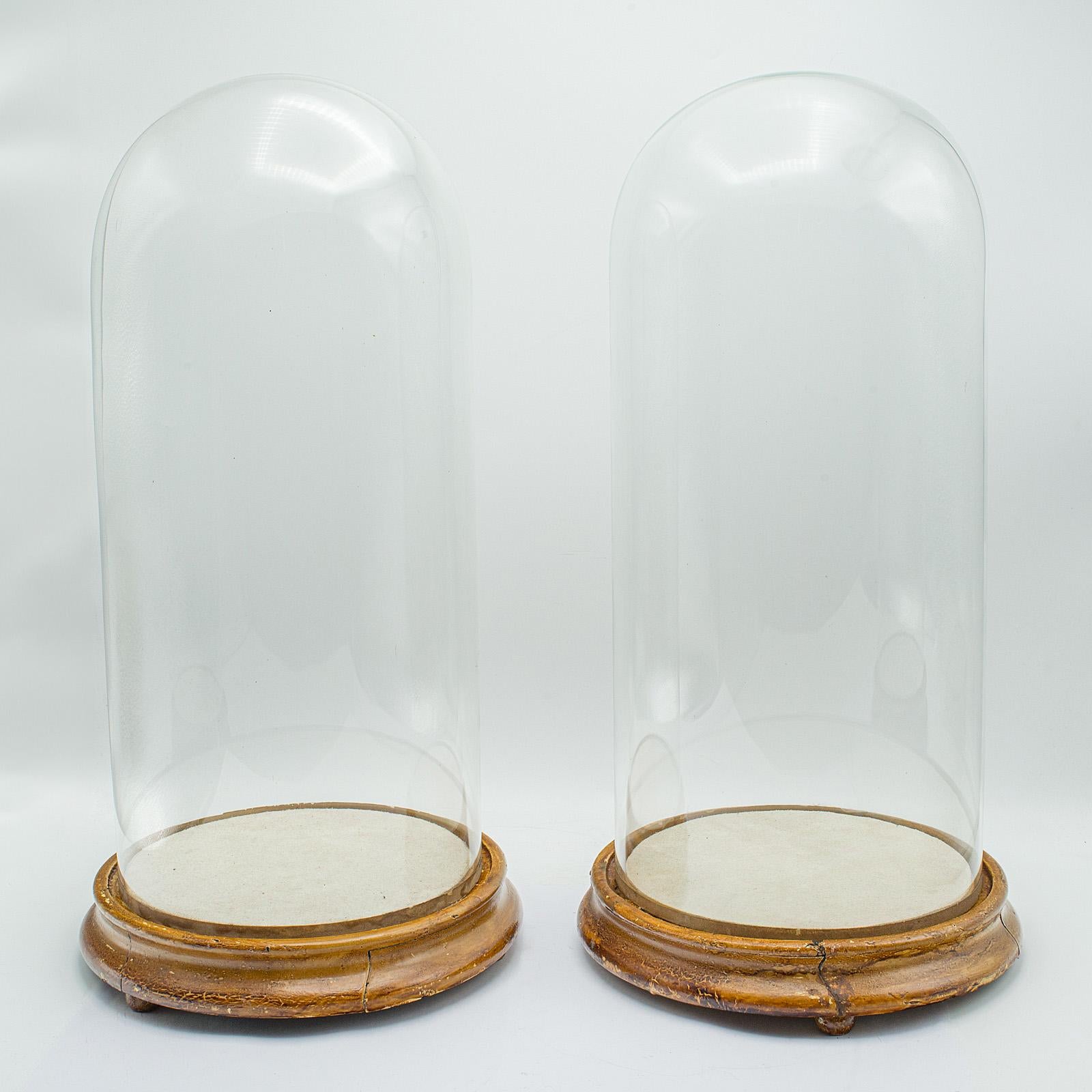 Pair Of Antique Display Domes, English, Glass, Taxidermy Showcase, Victorian For Sale 4