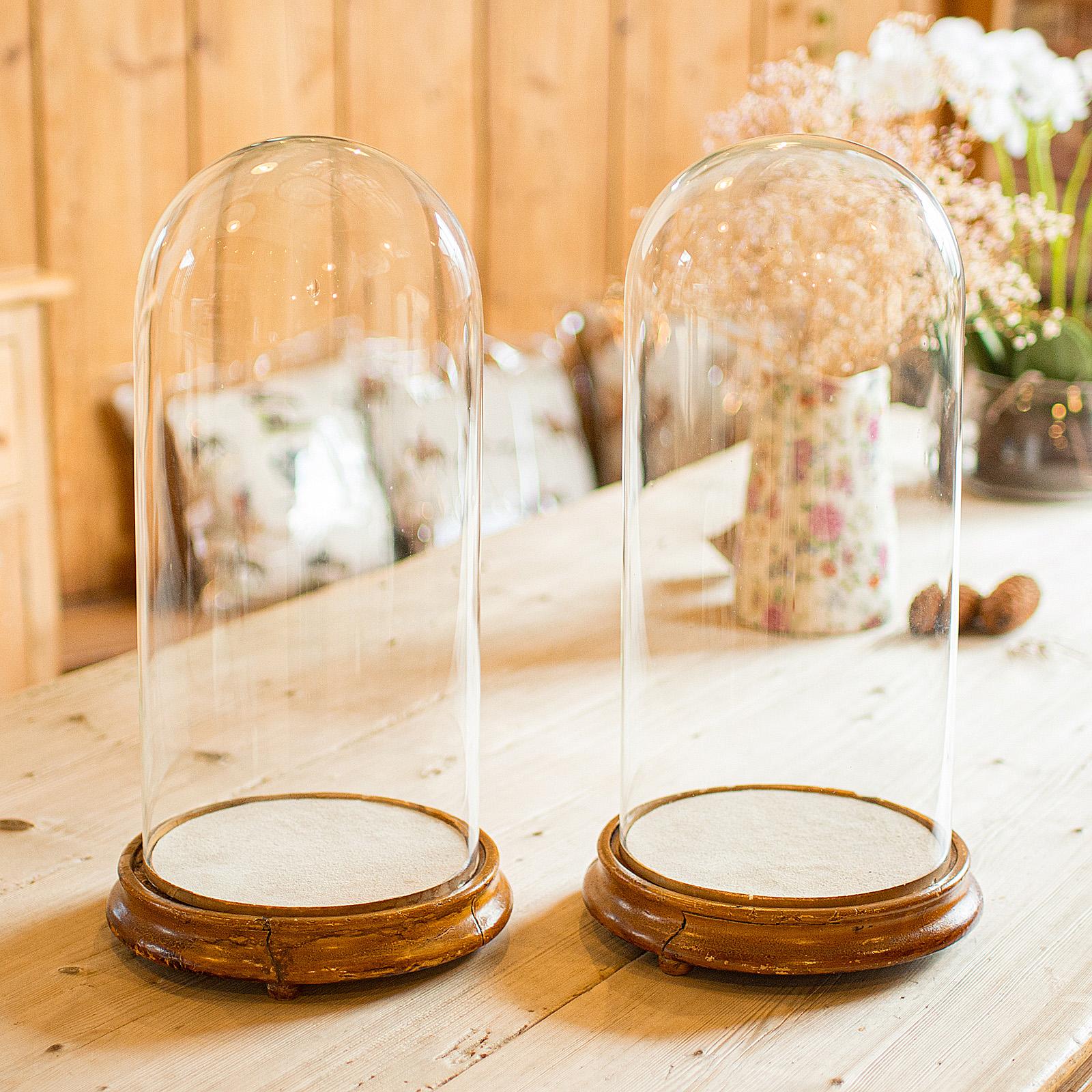 Early Victorian Pair Of Antique Display Domes, English, Glass, Taxidermy Showcase, Victorian For Sale