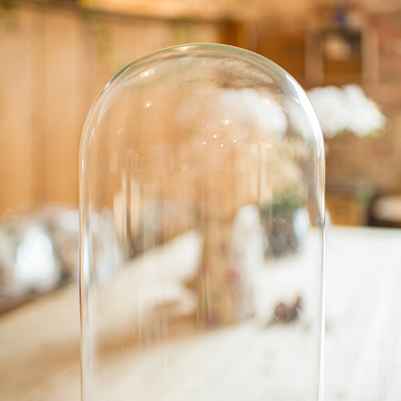 19th Century Pair Of Antique Display Domes, English, Glass, Taxidermy Showcase, Victorian For Sale