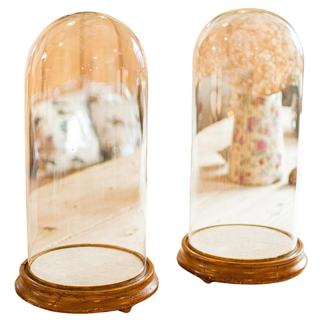 Pair Of Antique Display Domes, English, Glass, Taxidermy Showcase, Victorian